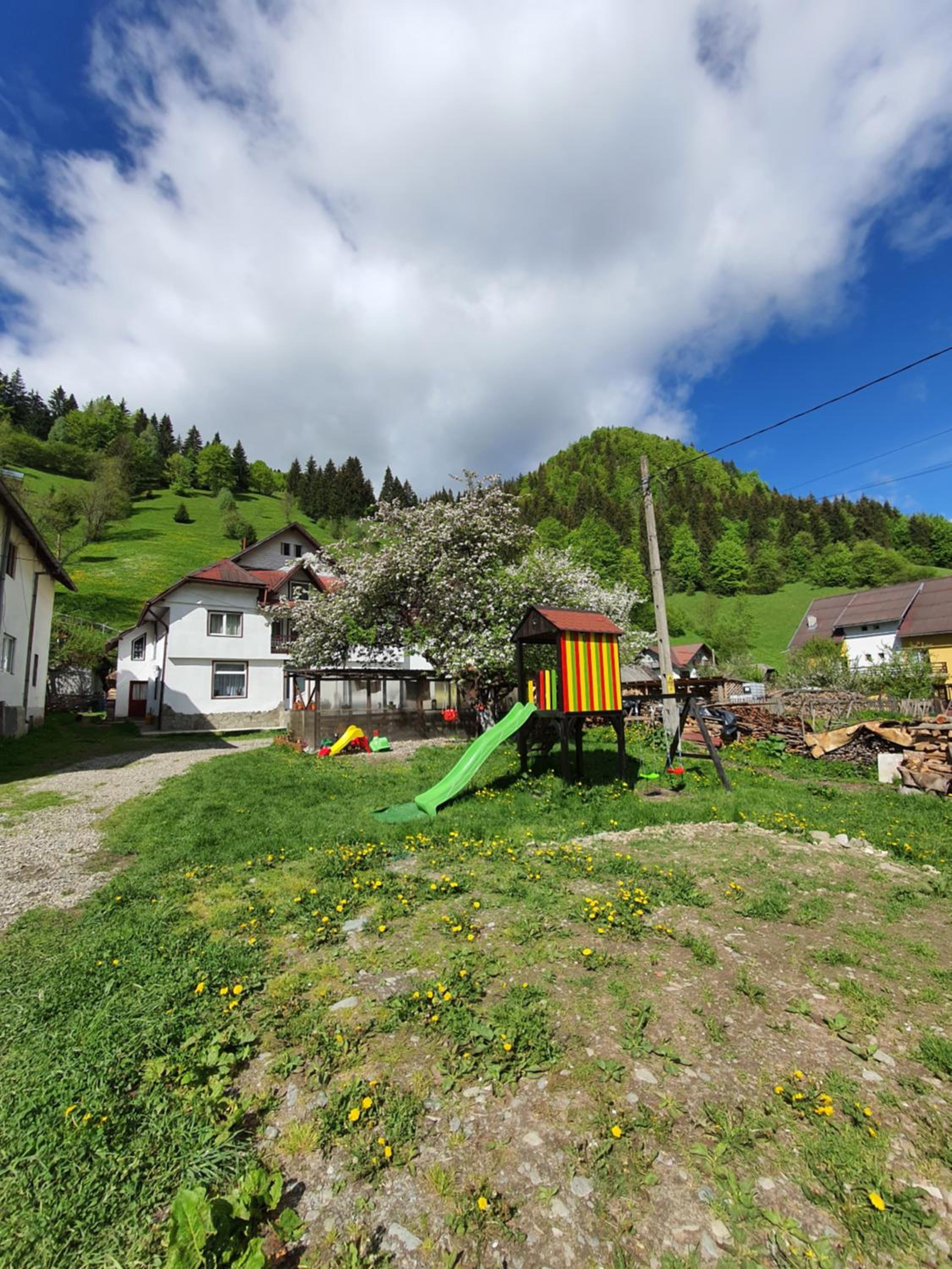 Photo 40