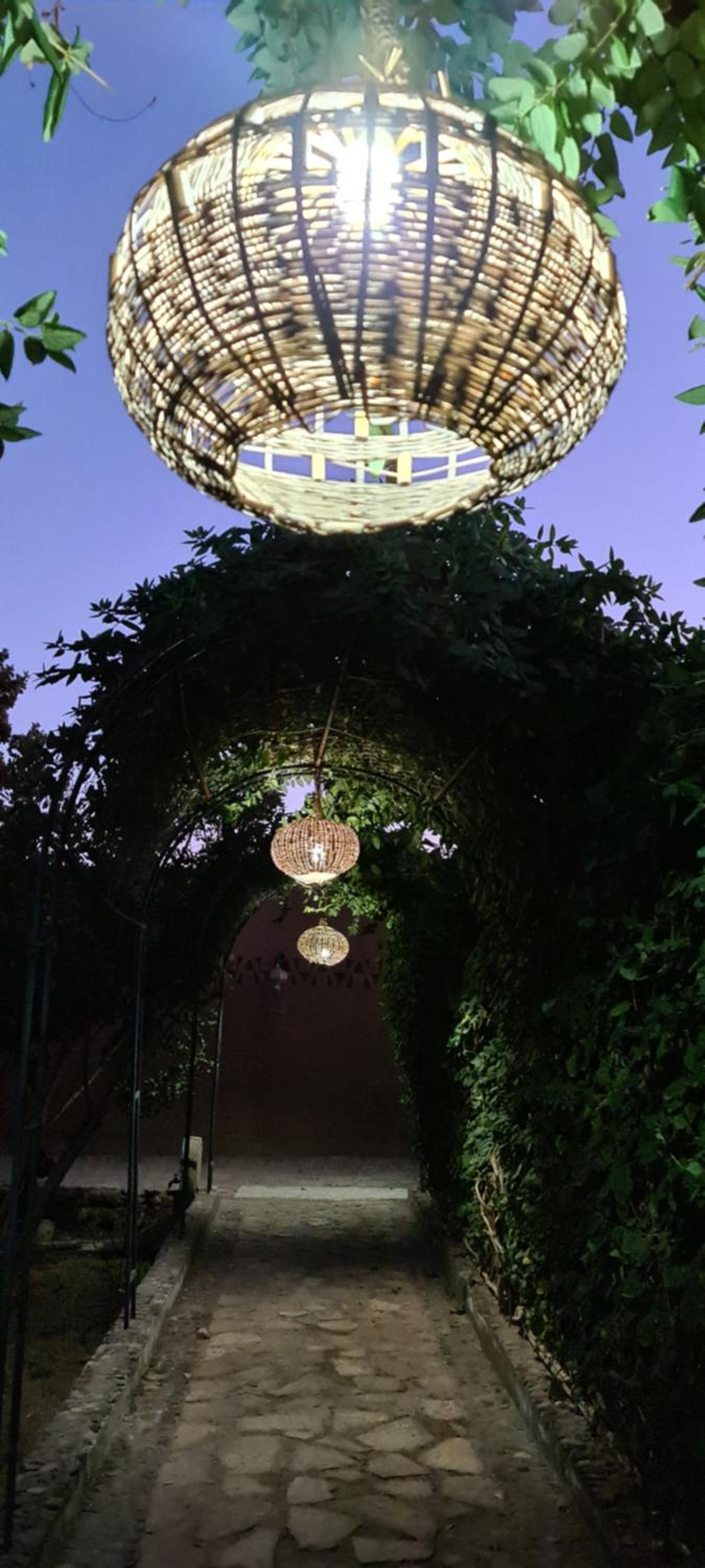 Chez Laila