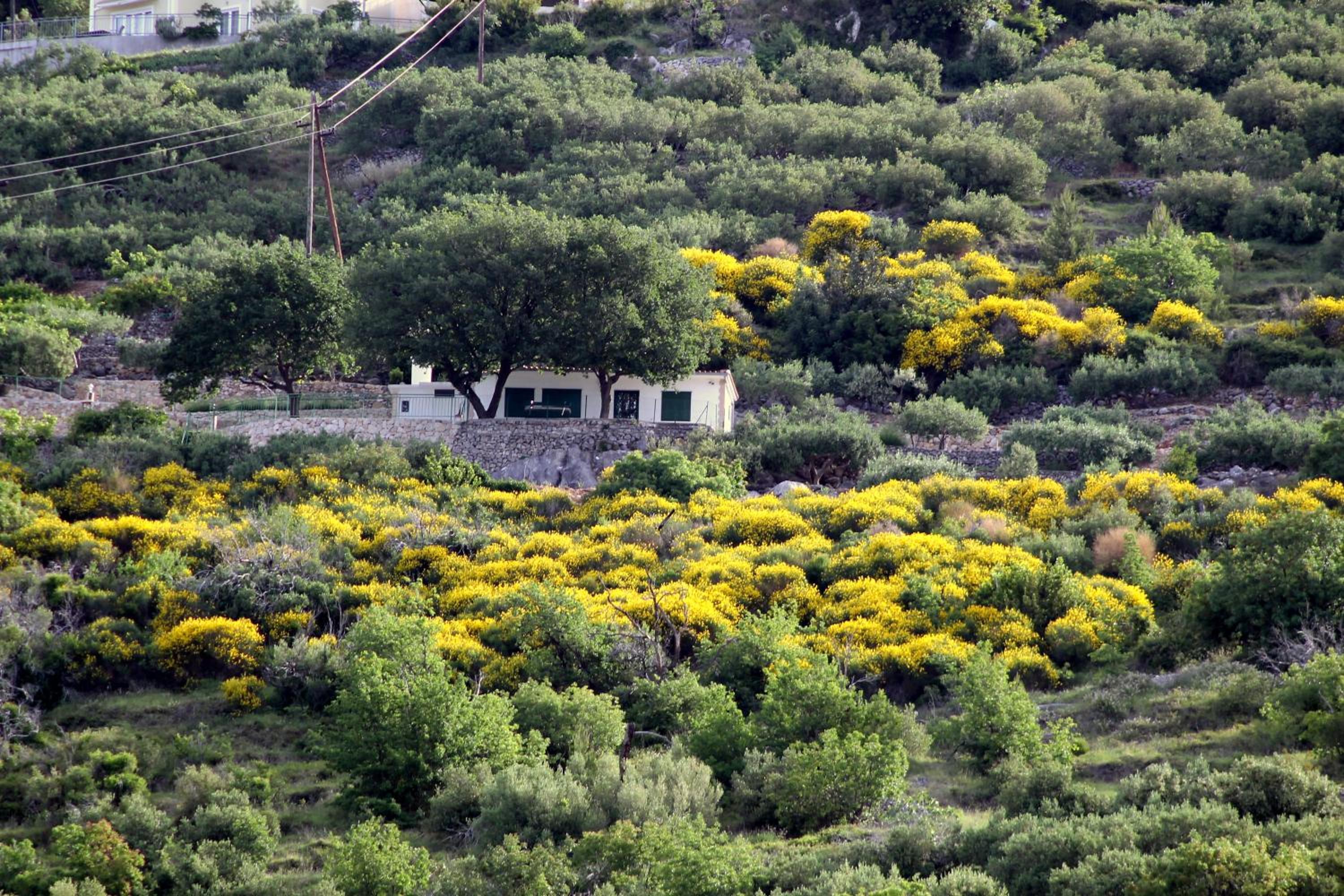 Villa " Davorka" view 5