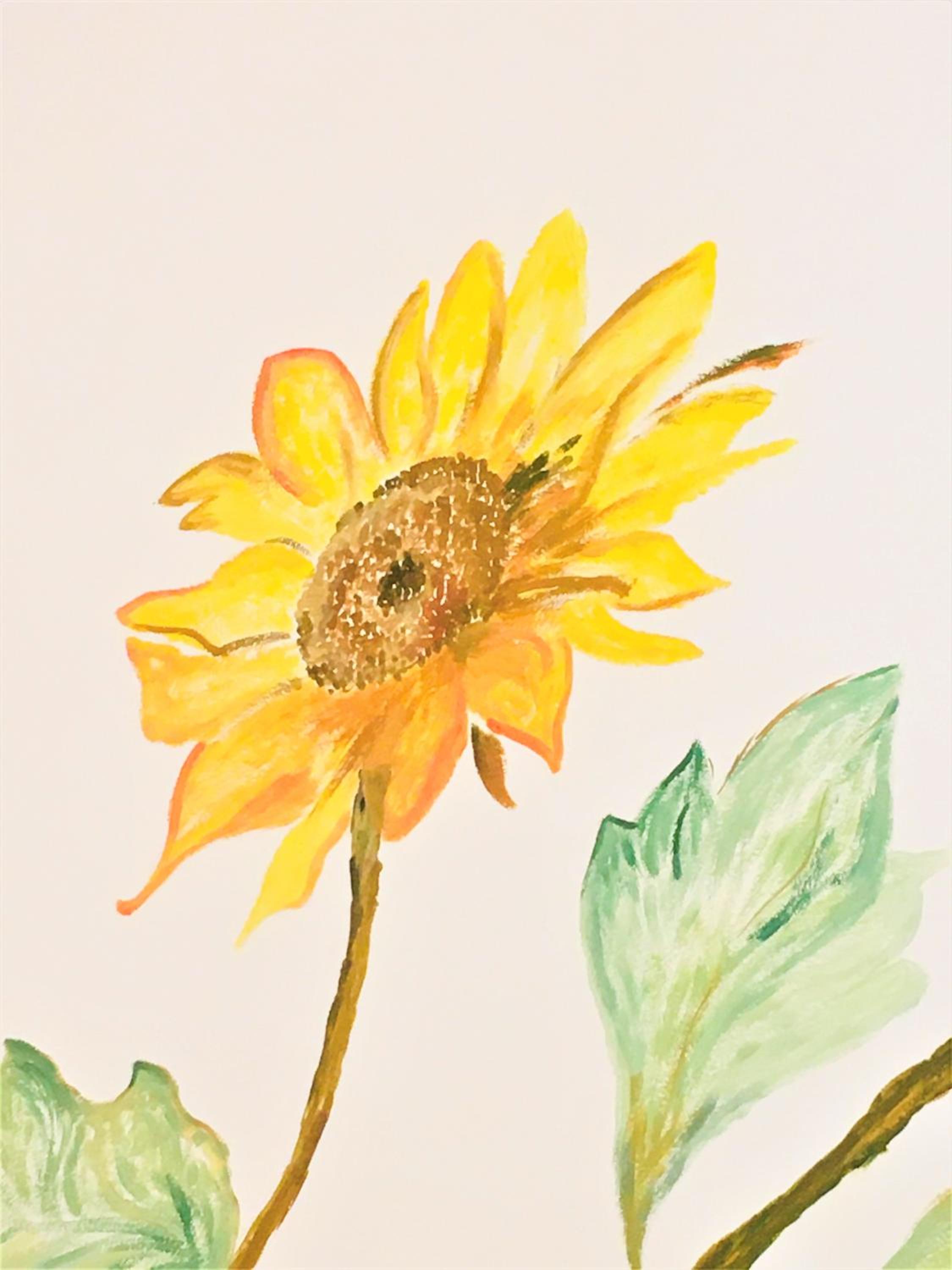 Il Girasole view 5