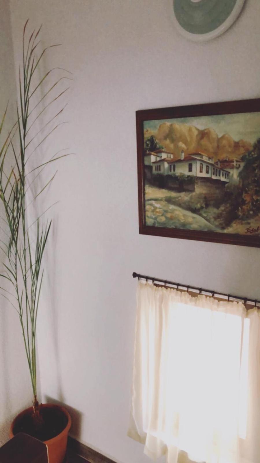 Guesthouse White Margarit