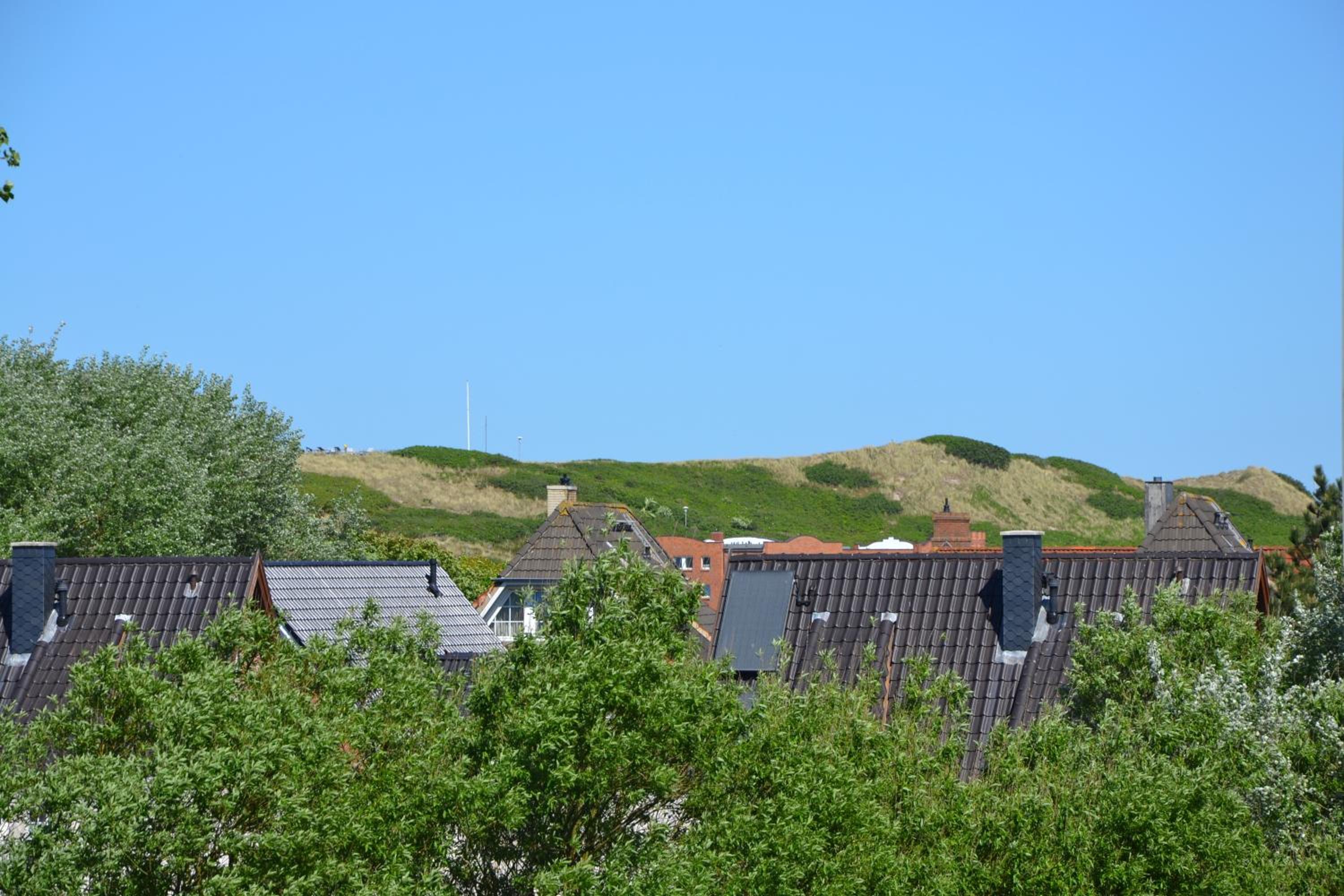 Südwäldchen, fotografía 4