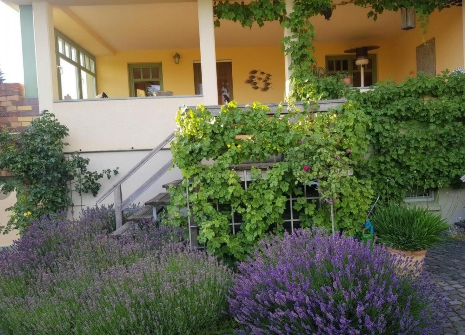 Ferienhaus Schiller view 2