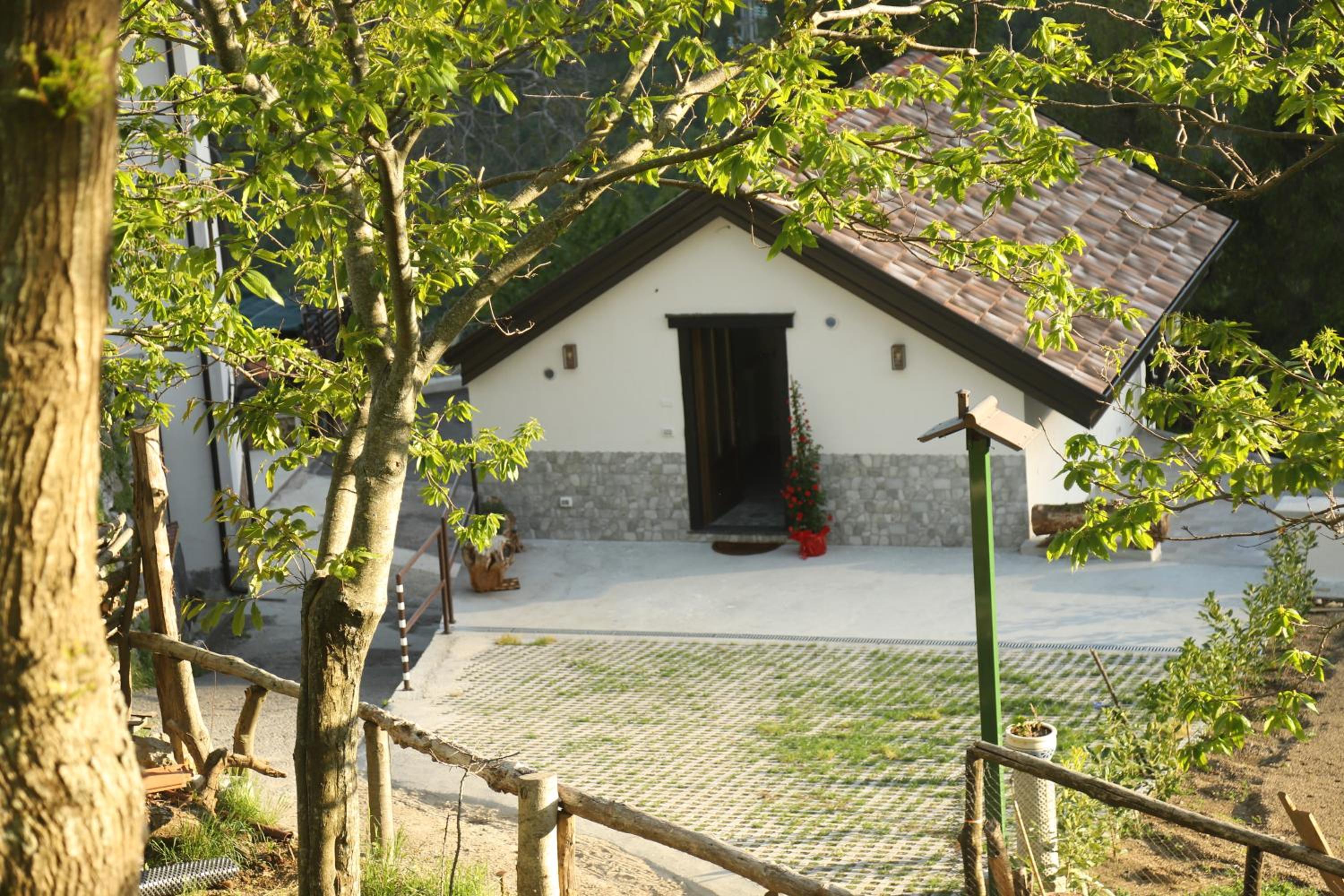 Photo 44