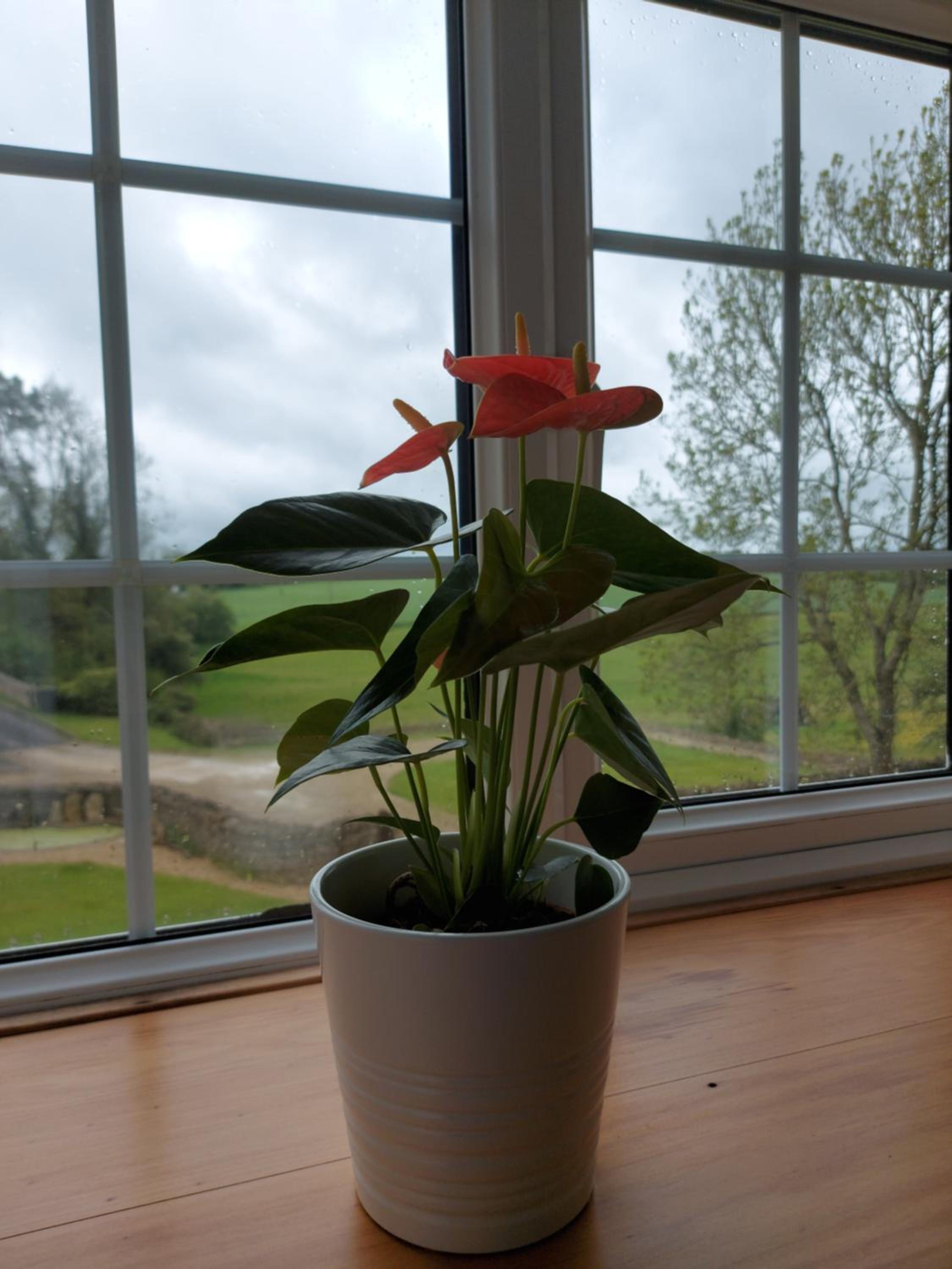 Photo 34
