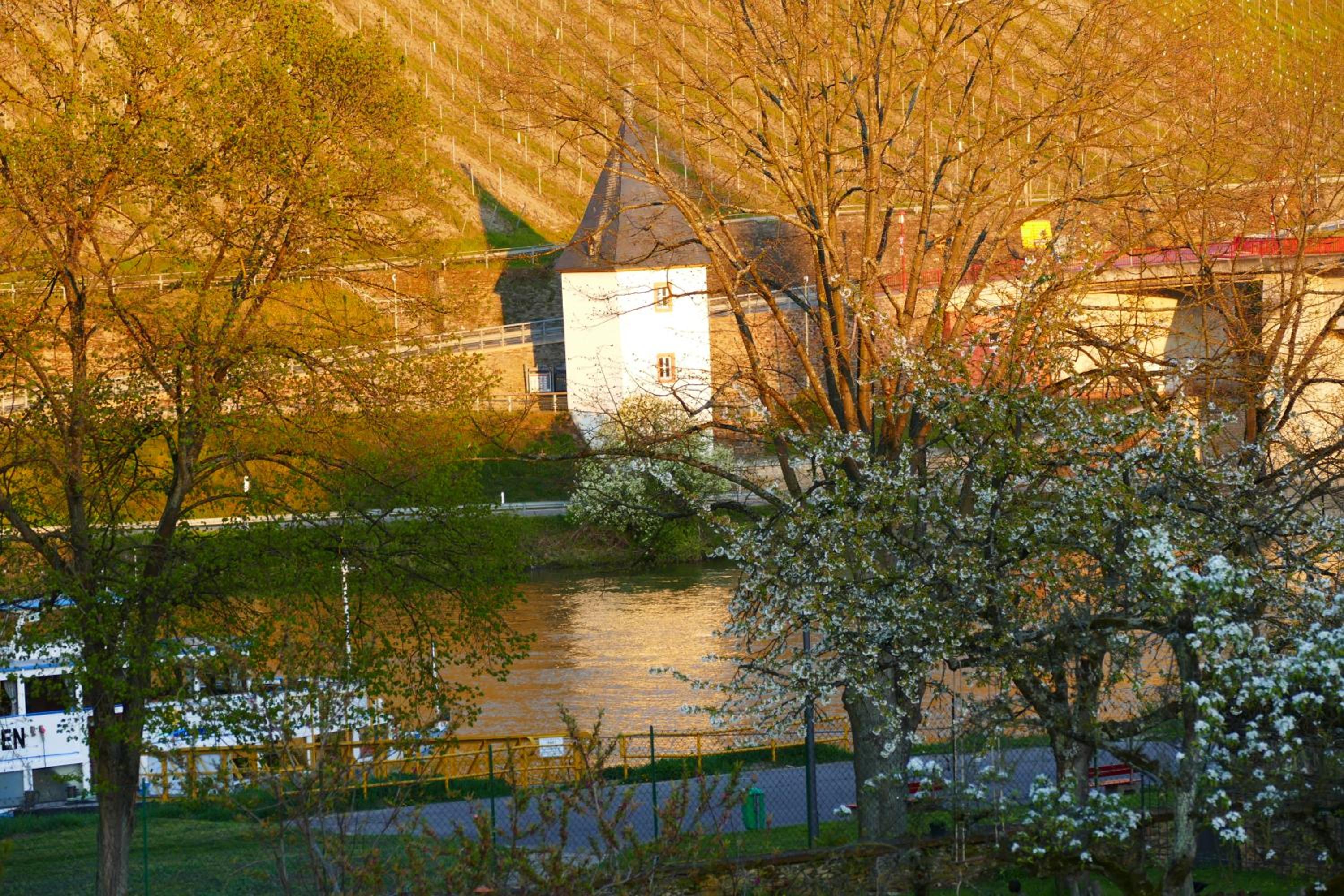 Photo 43