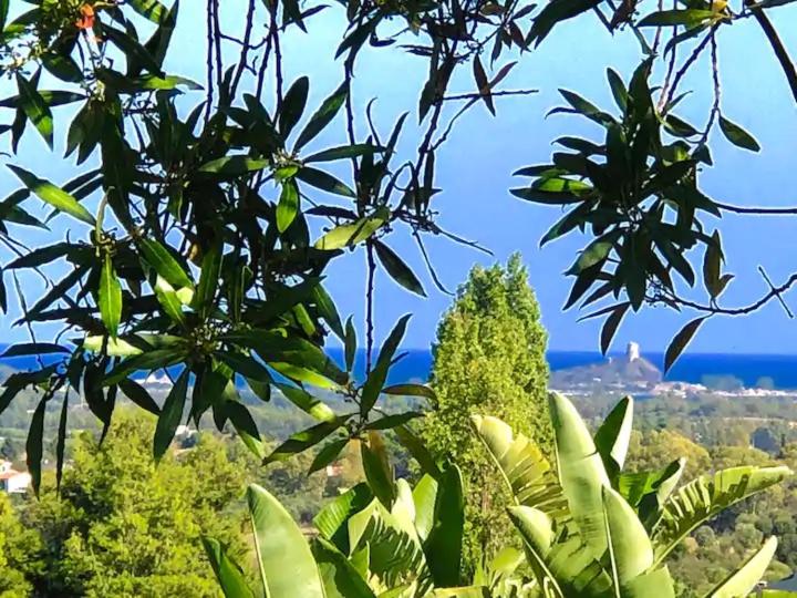 Villa Amaranta view 3