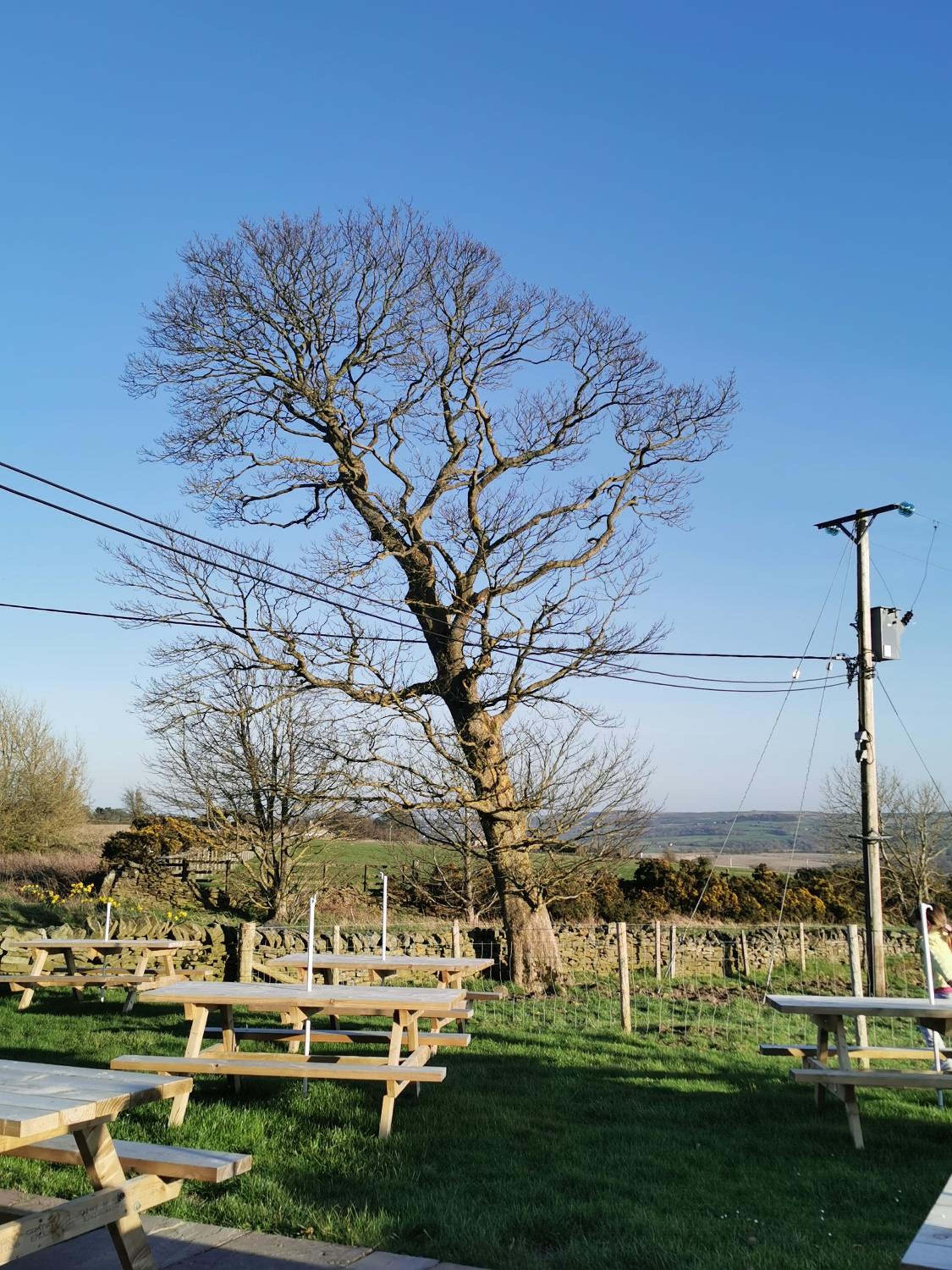 The Manor House Inn