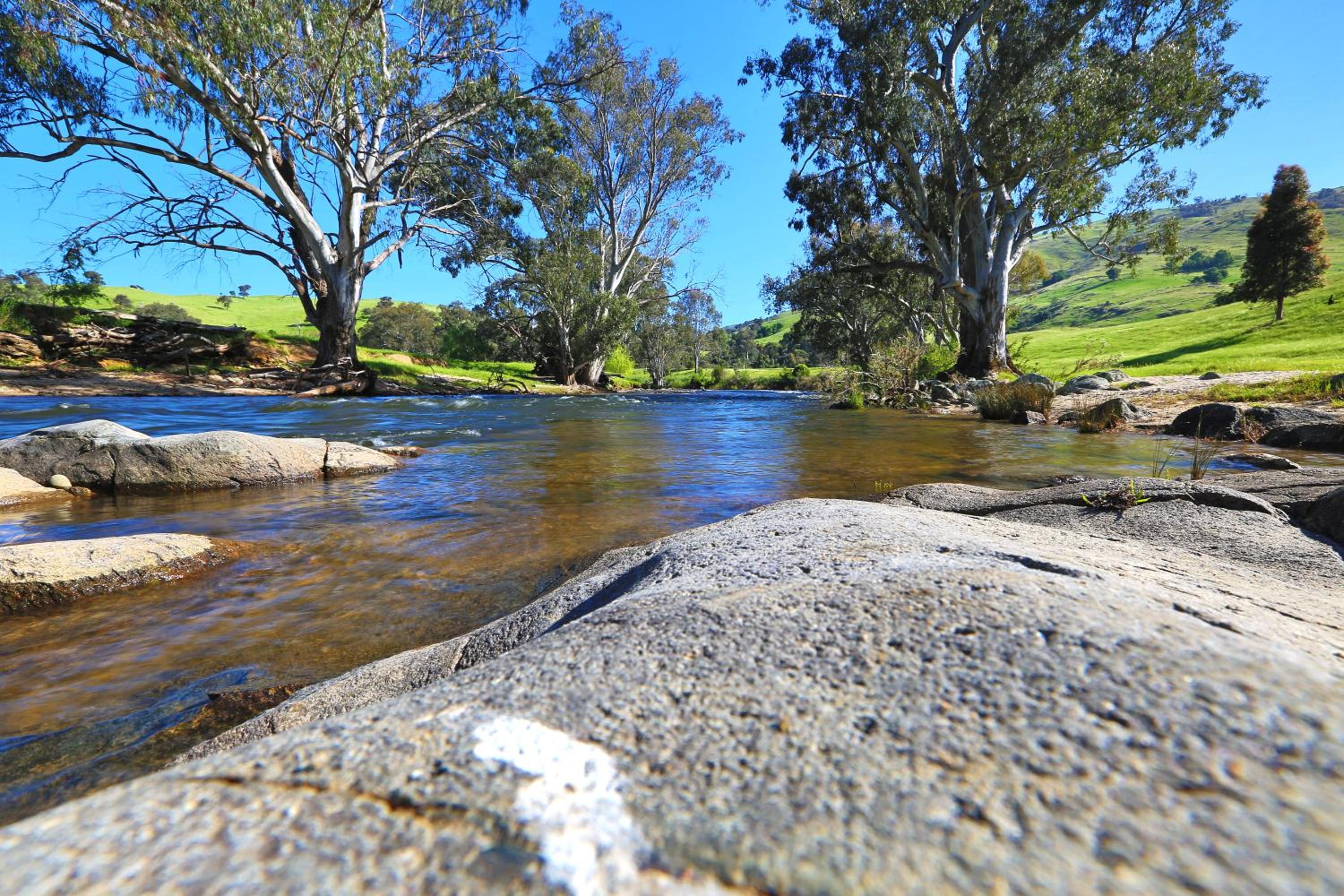 Elm Cottage Tumut