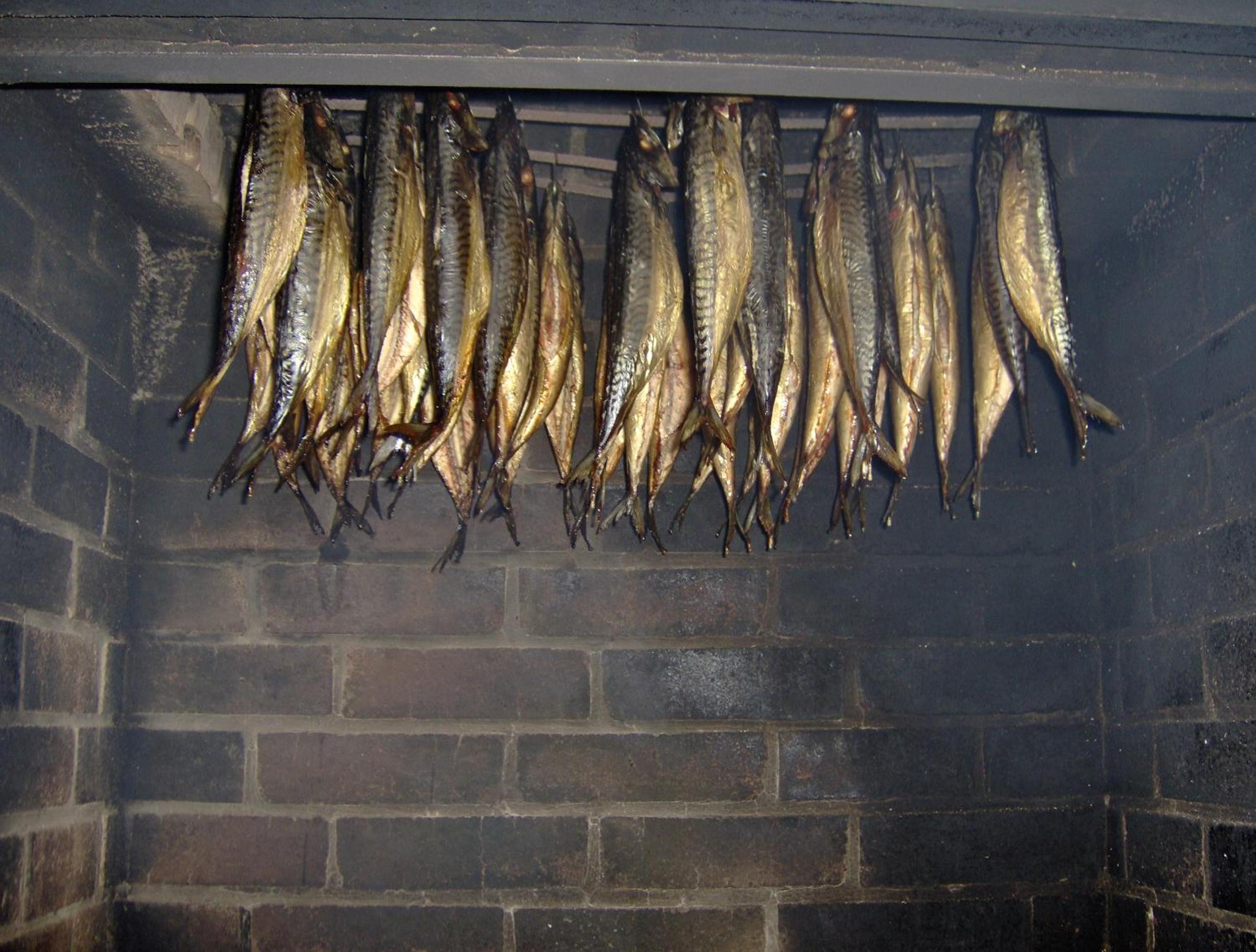 Photo 41