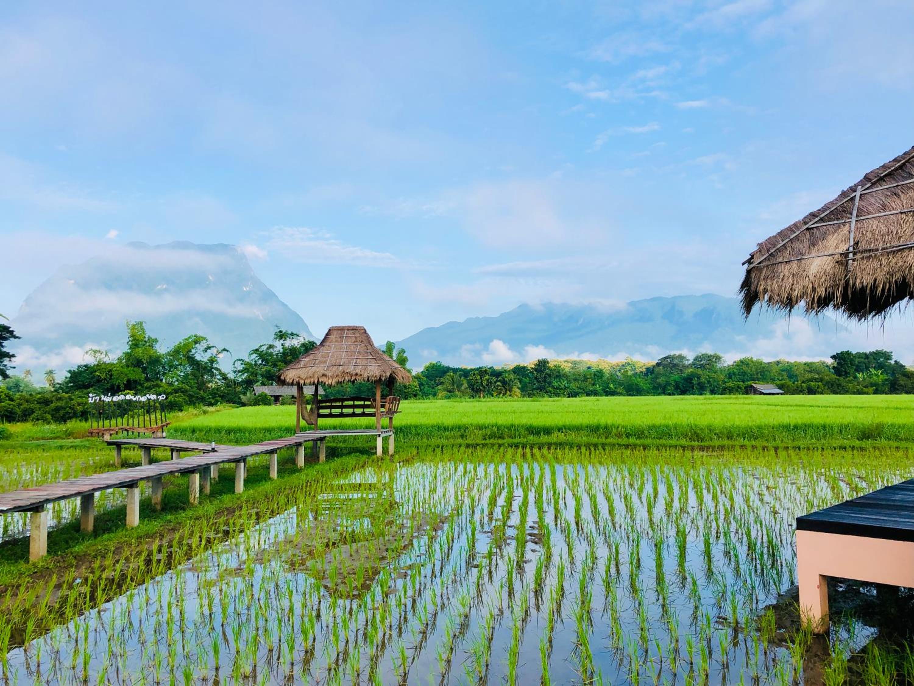 Baan Porhdoi Goidao view 2