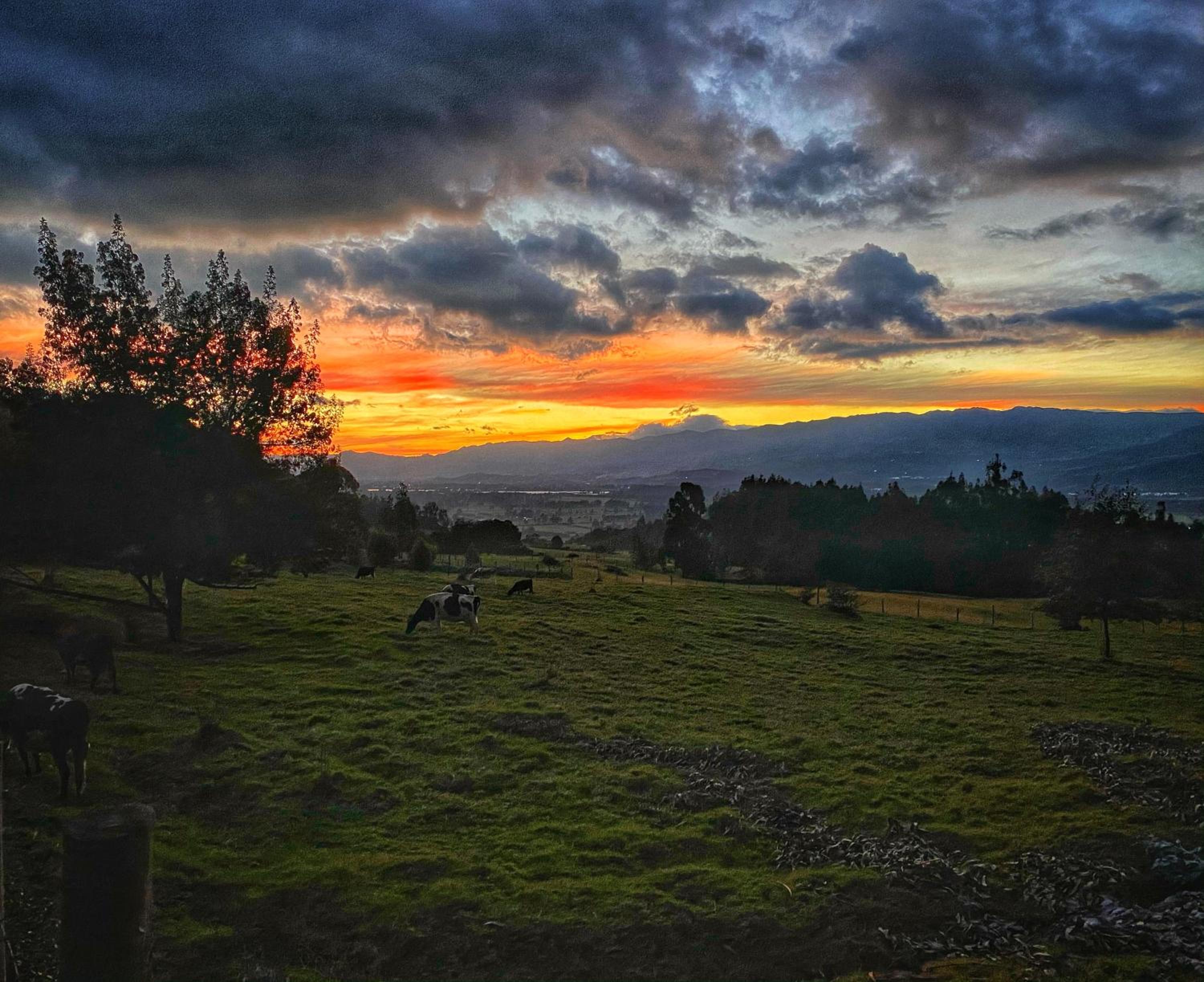 Finca Agrreste