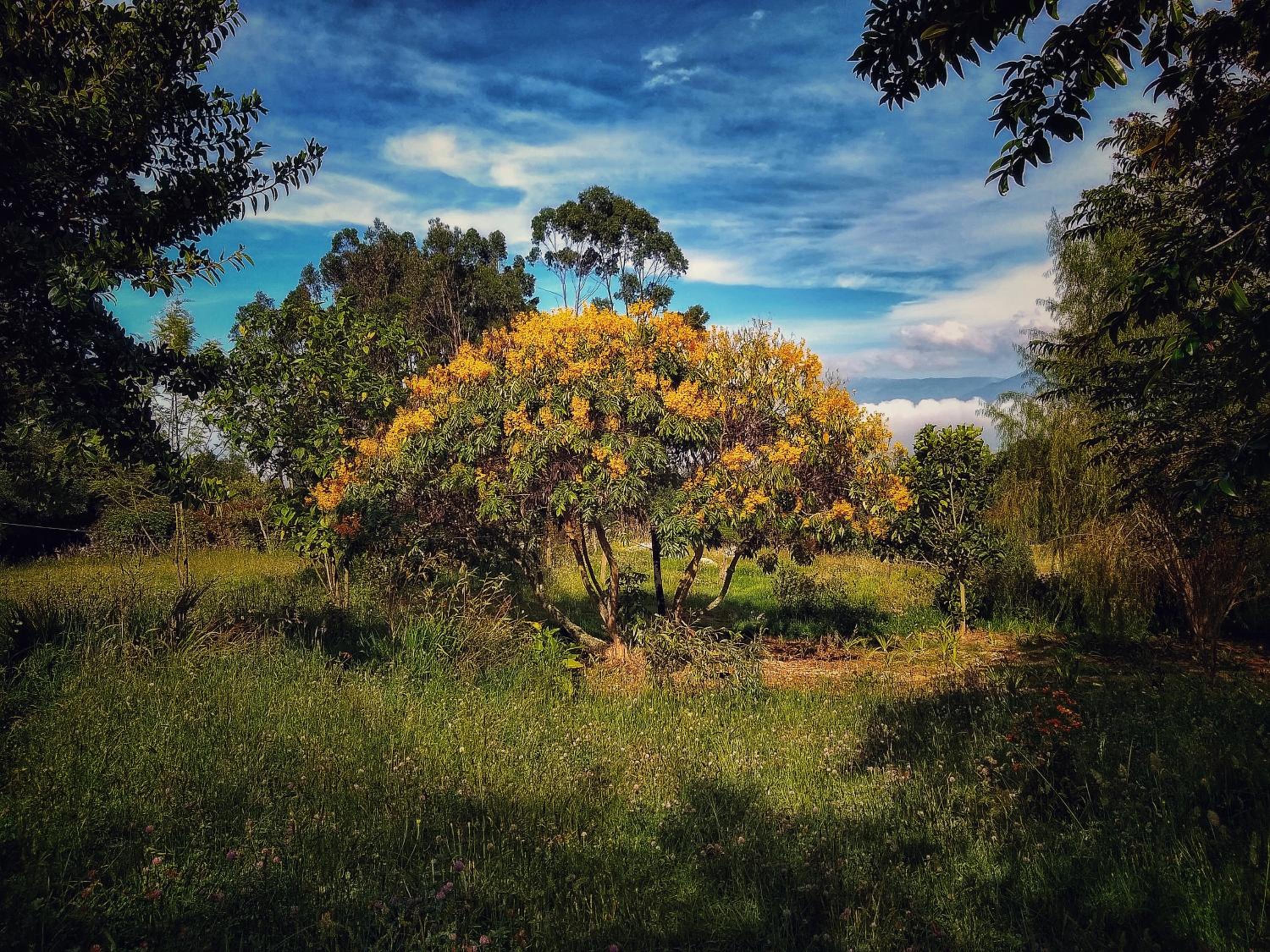 Finca Agrreste