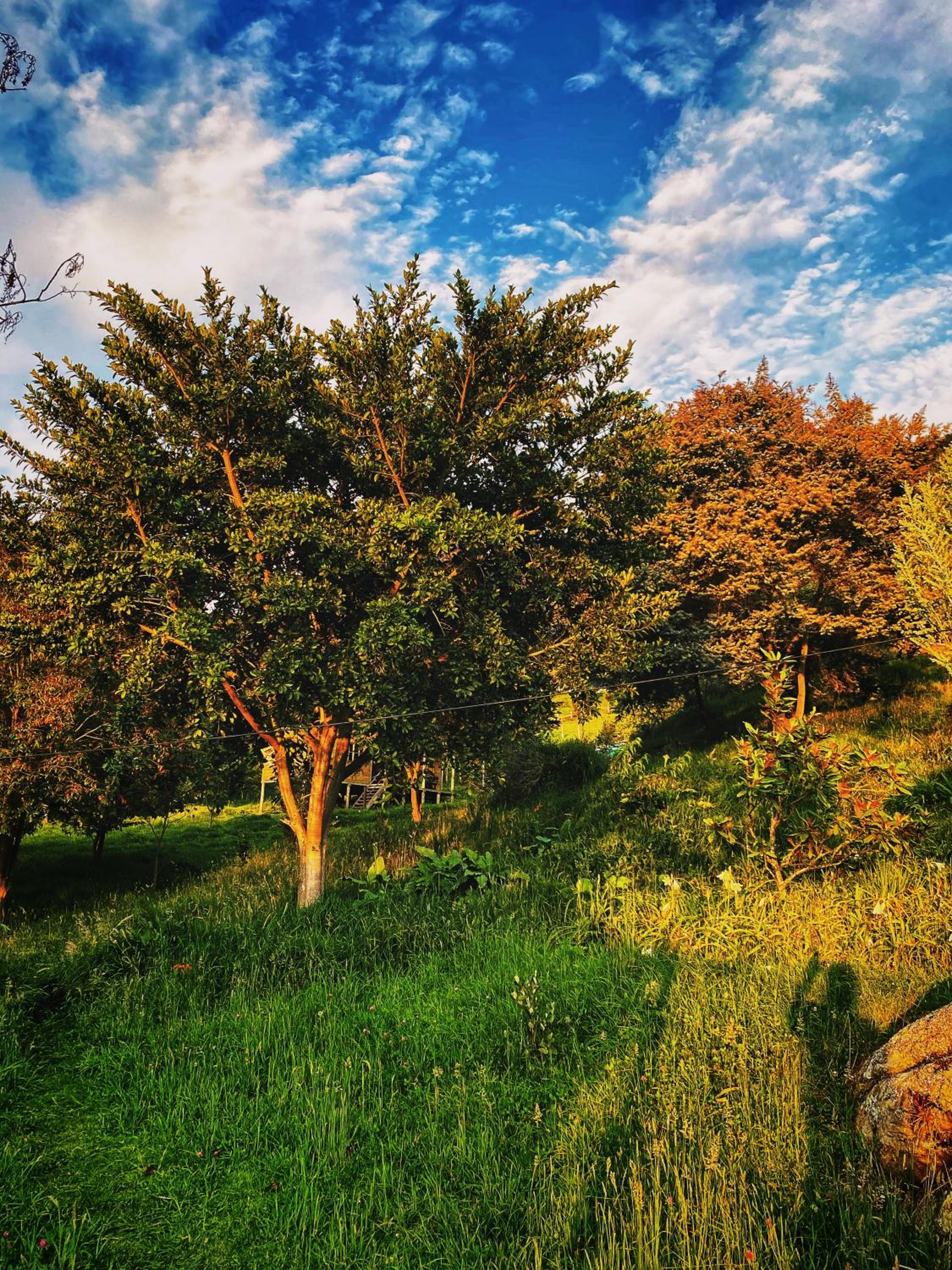 Finca Agrreste