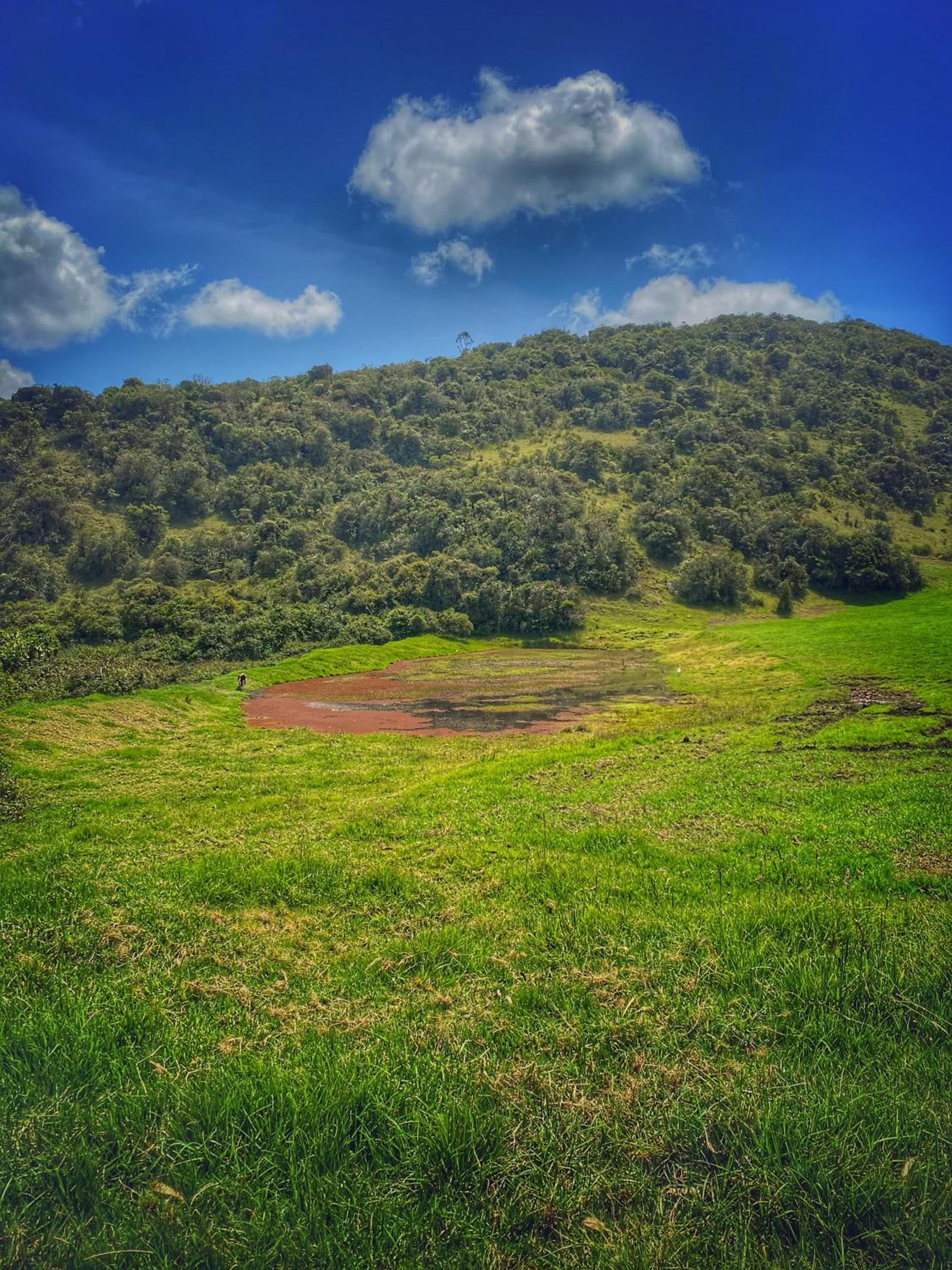 Finca Agrreste