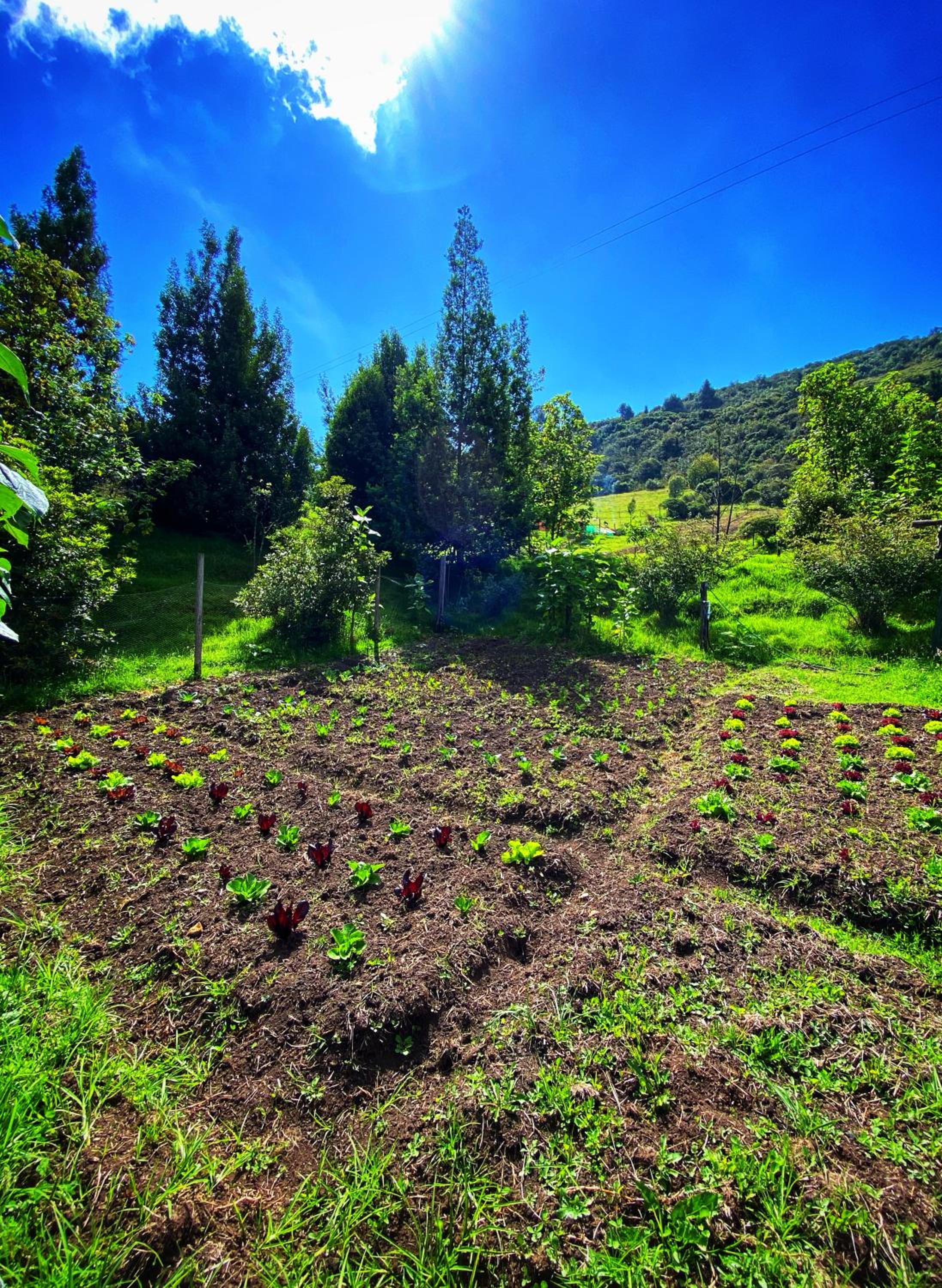 Finca Agrreste