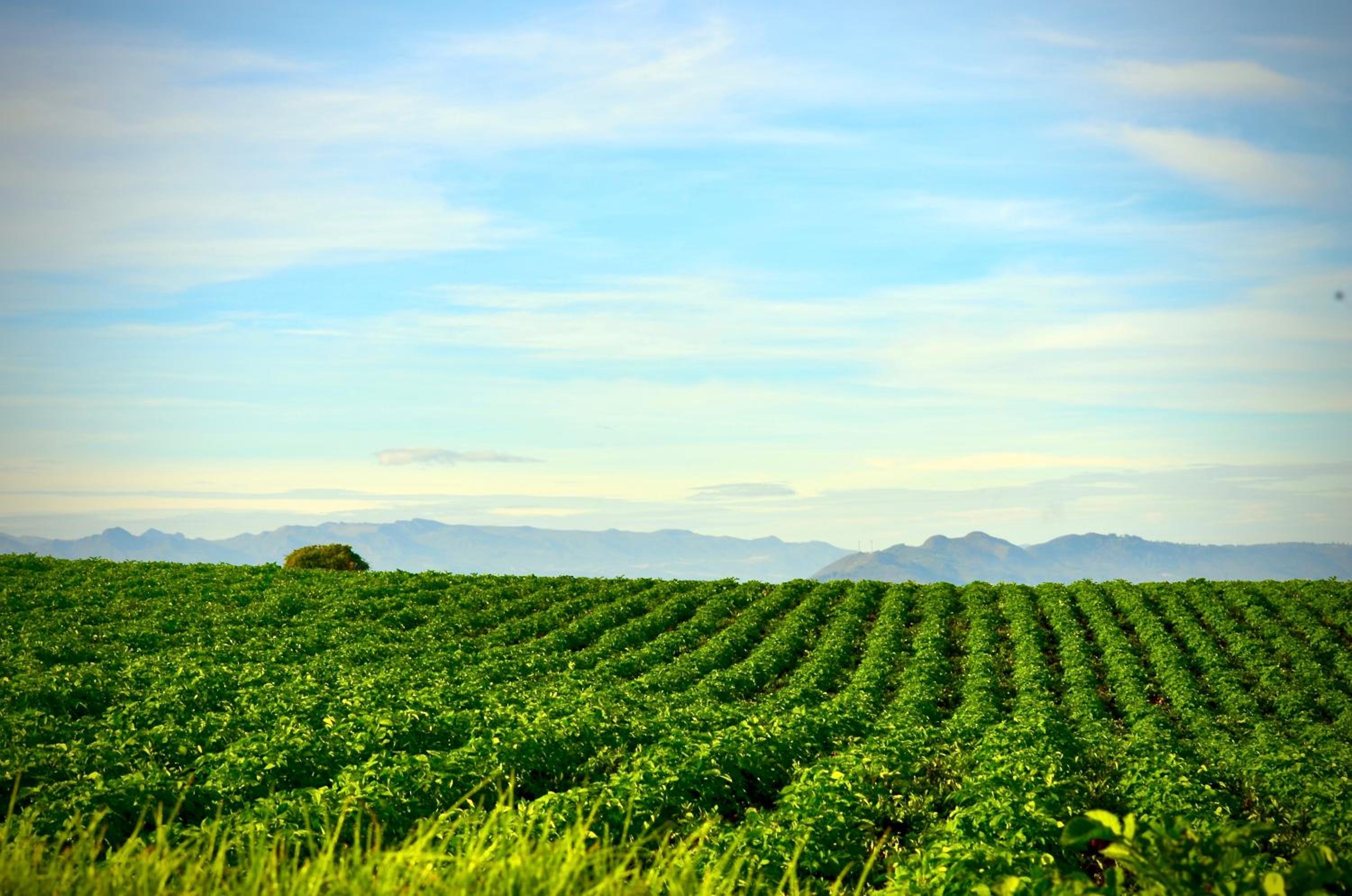 Finca Agrreste