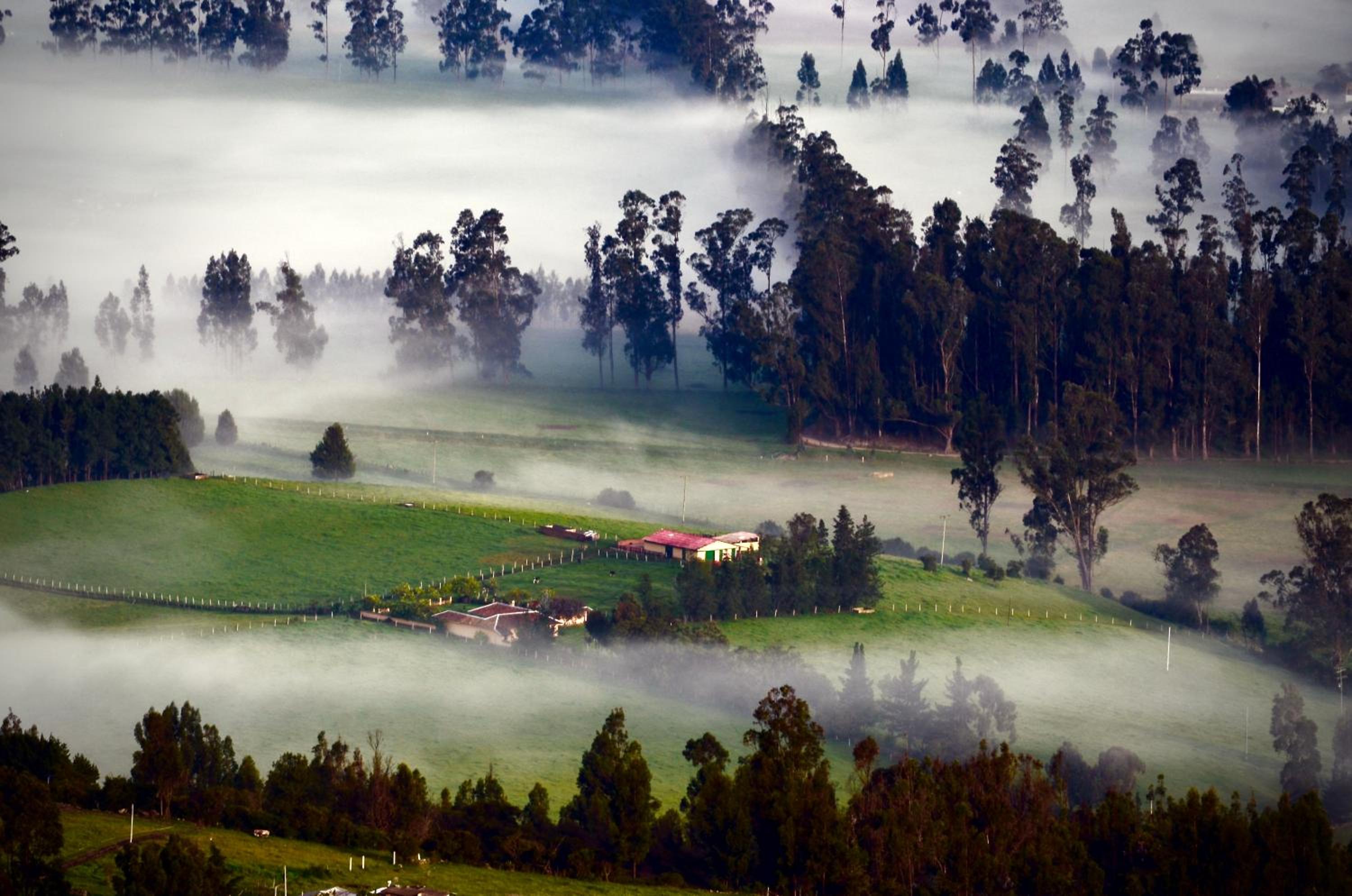 Finca Agrreste