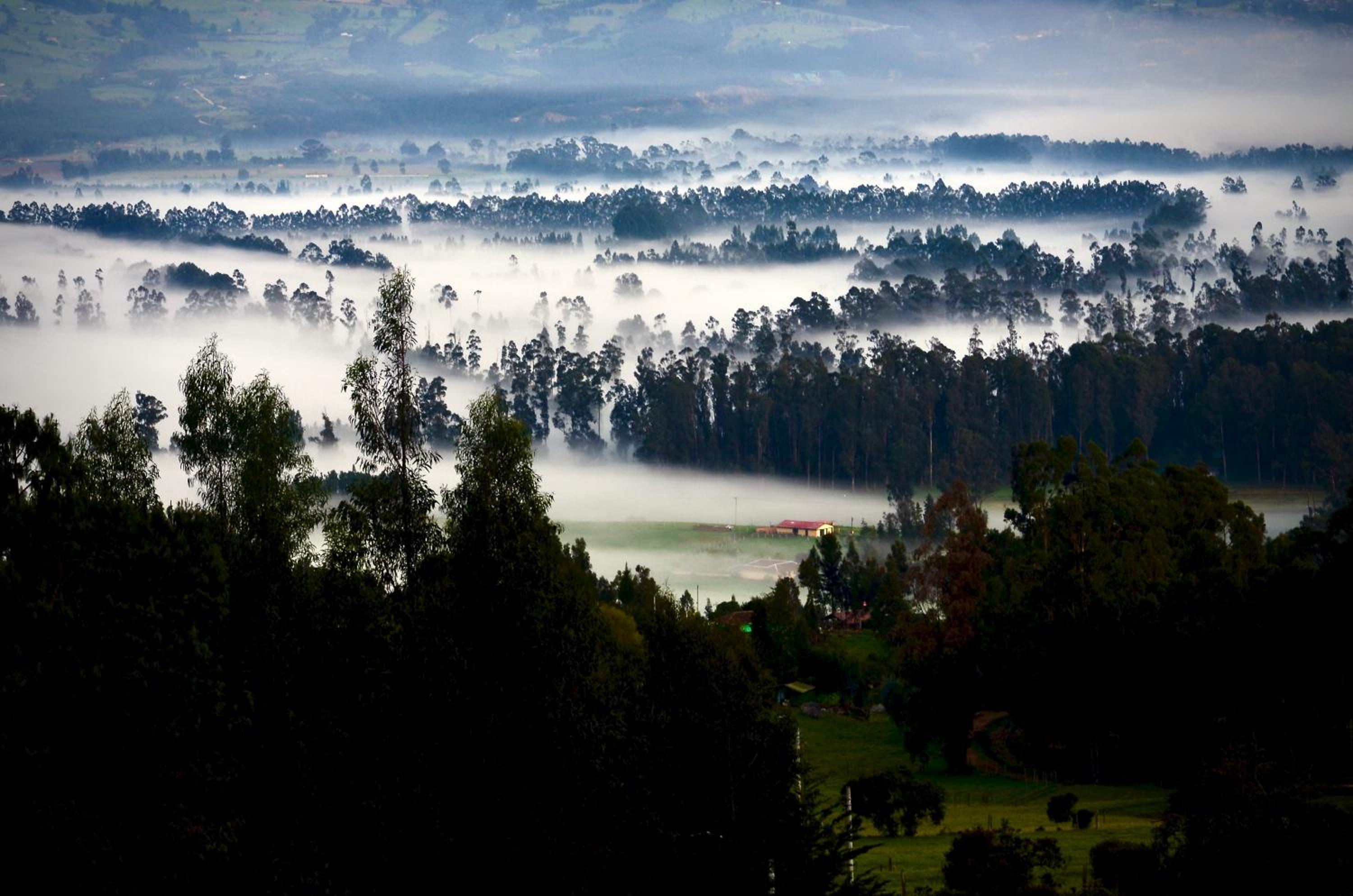 Finca Agrreste
