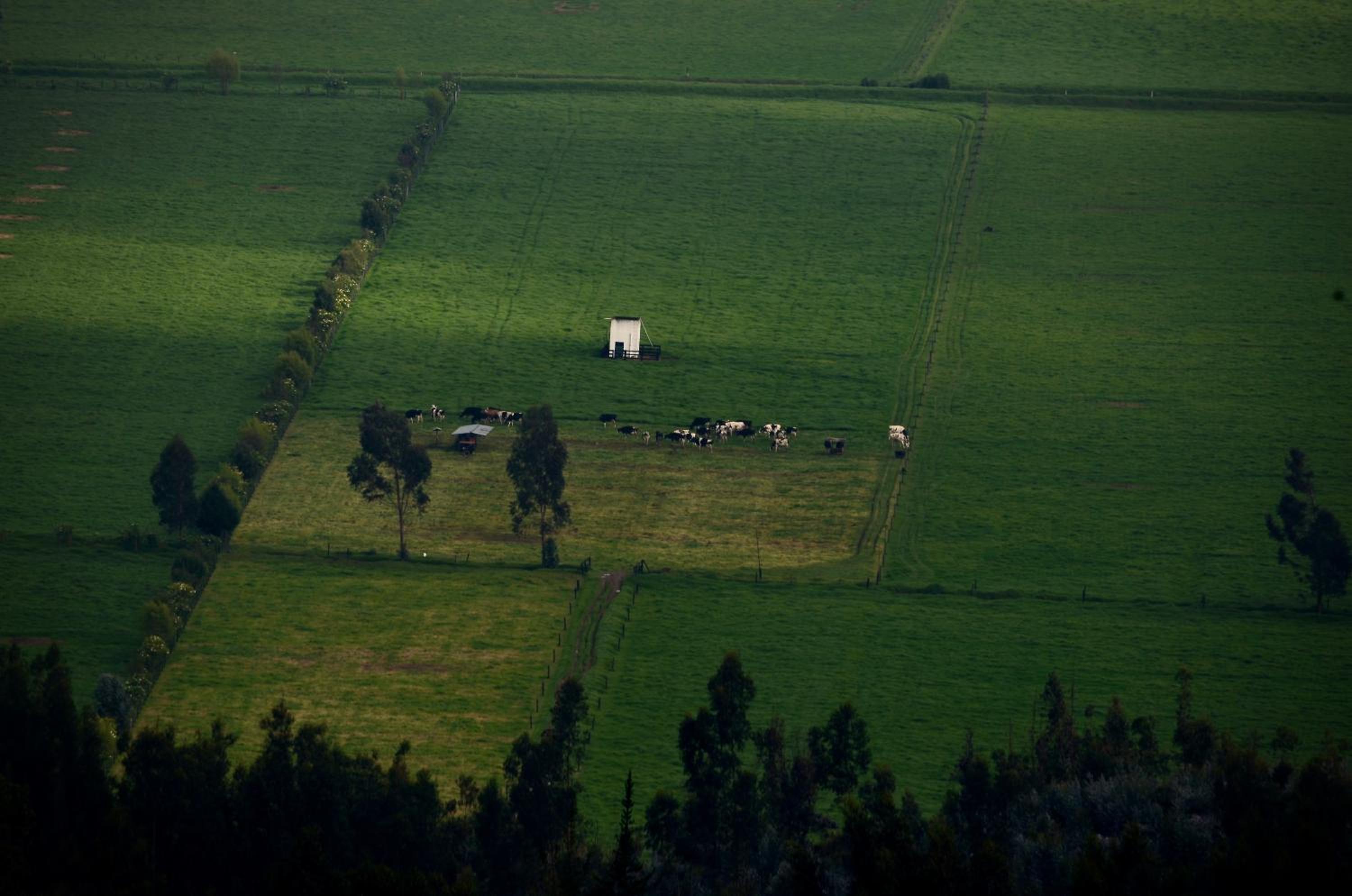 Finca Agrreste