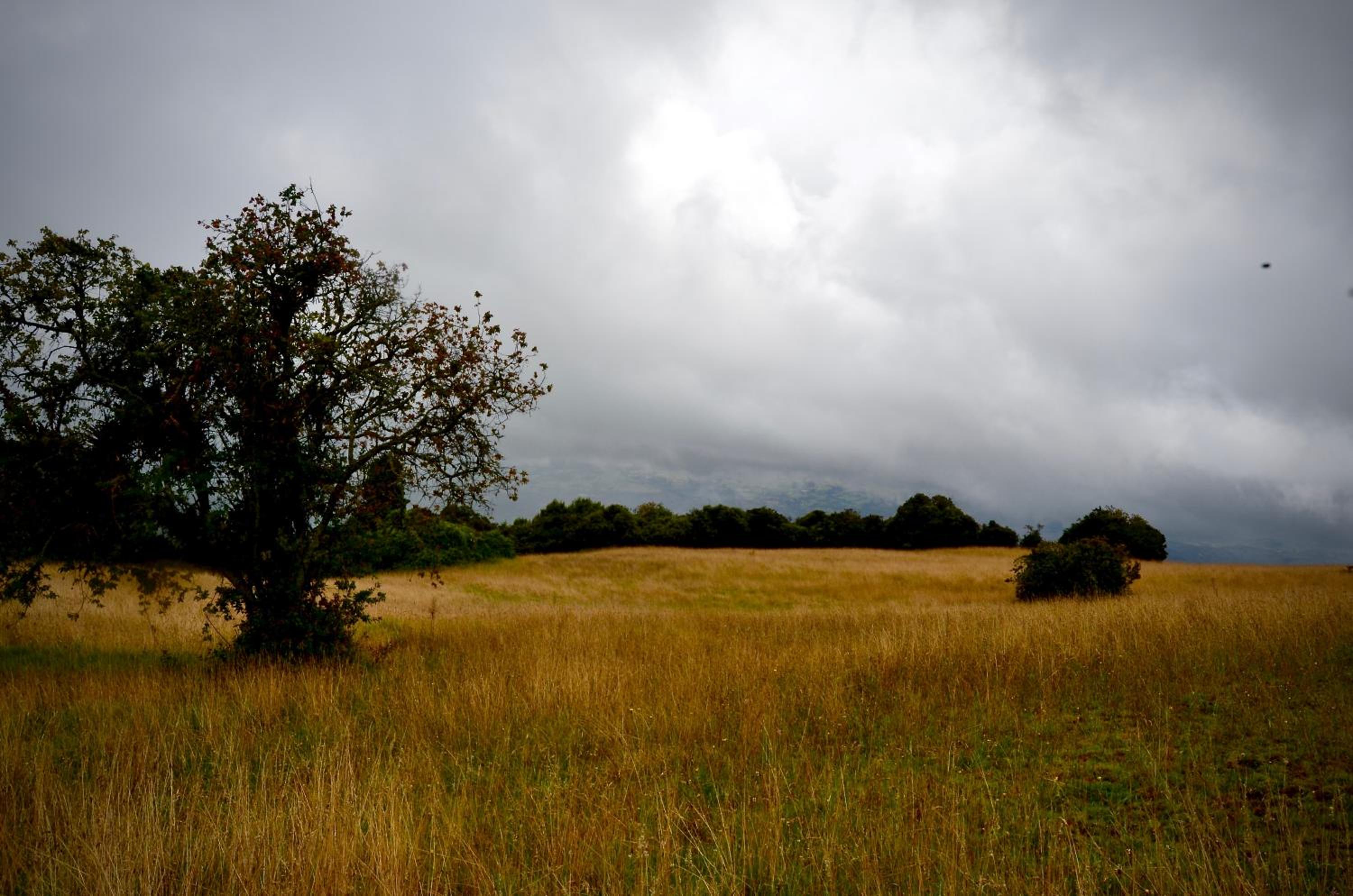 Finca Agrreste