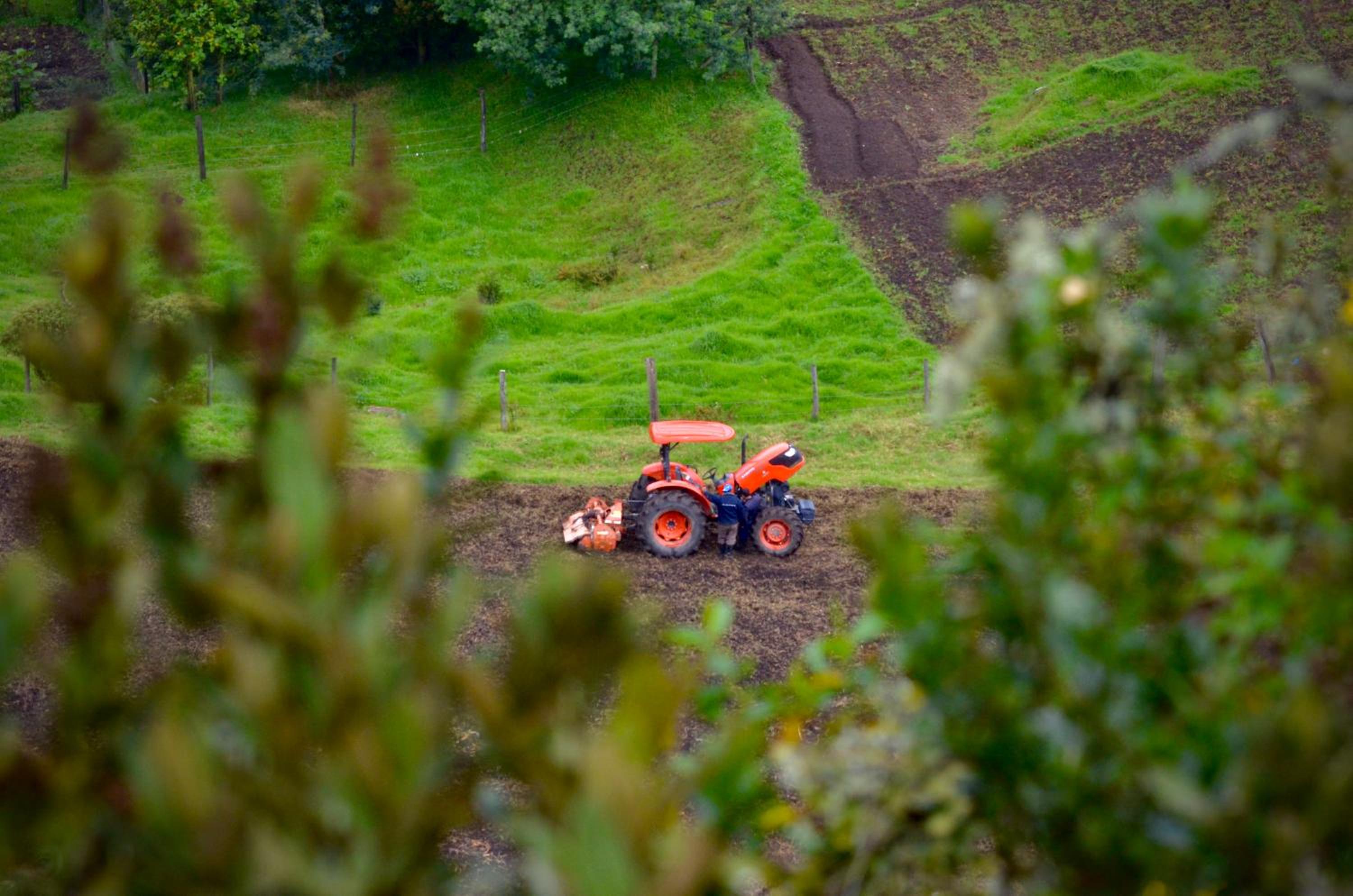 Finca Agrreste