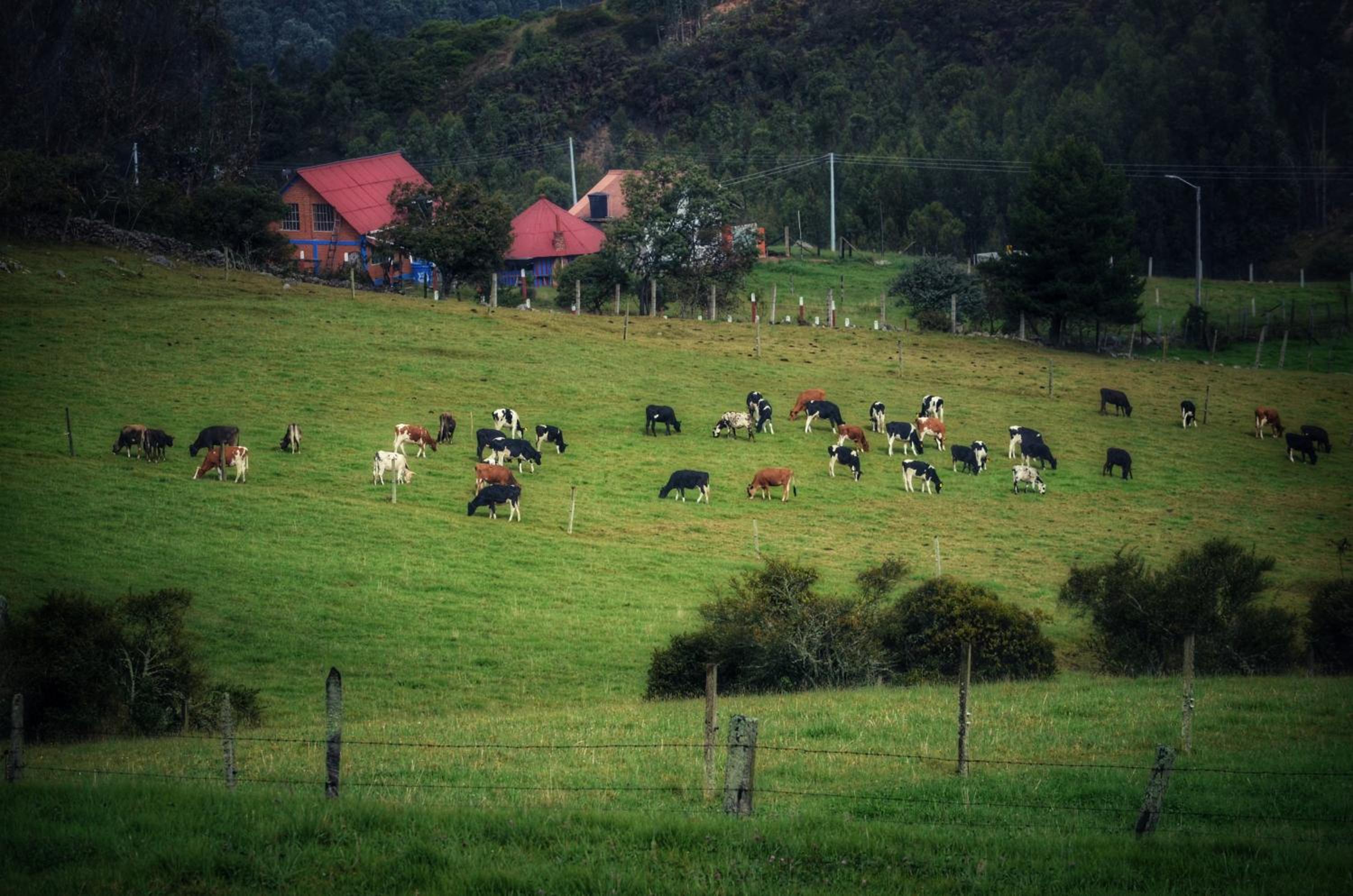 Finca Agrreste