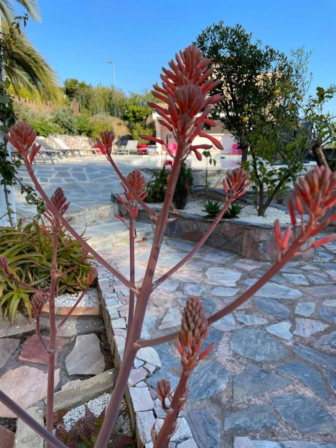 Photo 26
