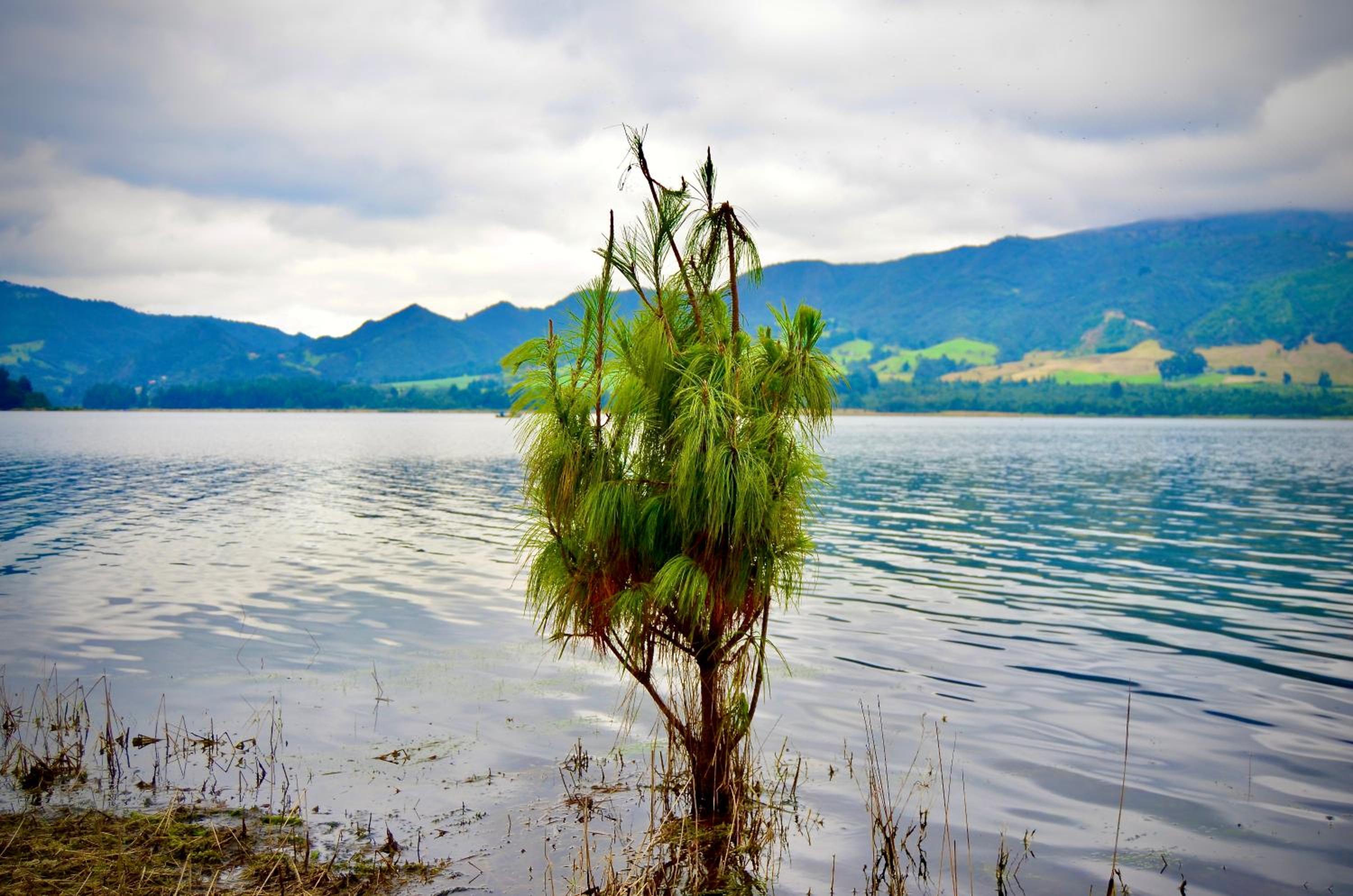 Photo 24