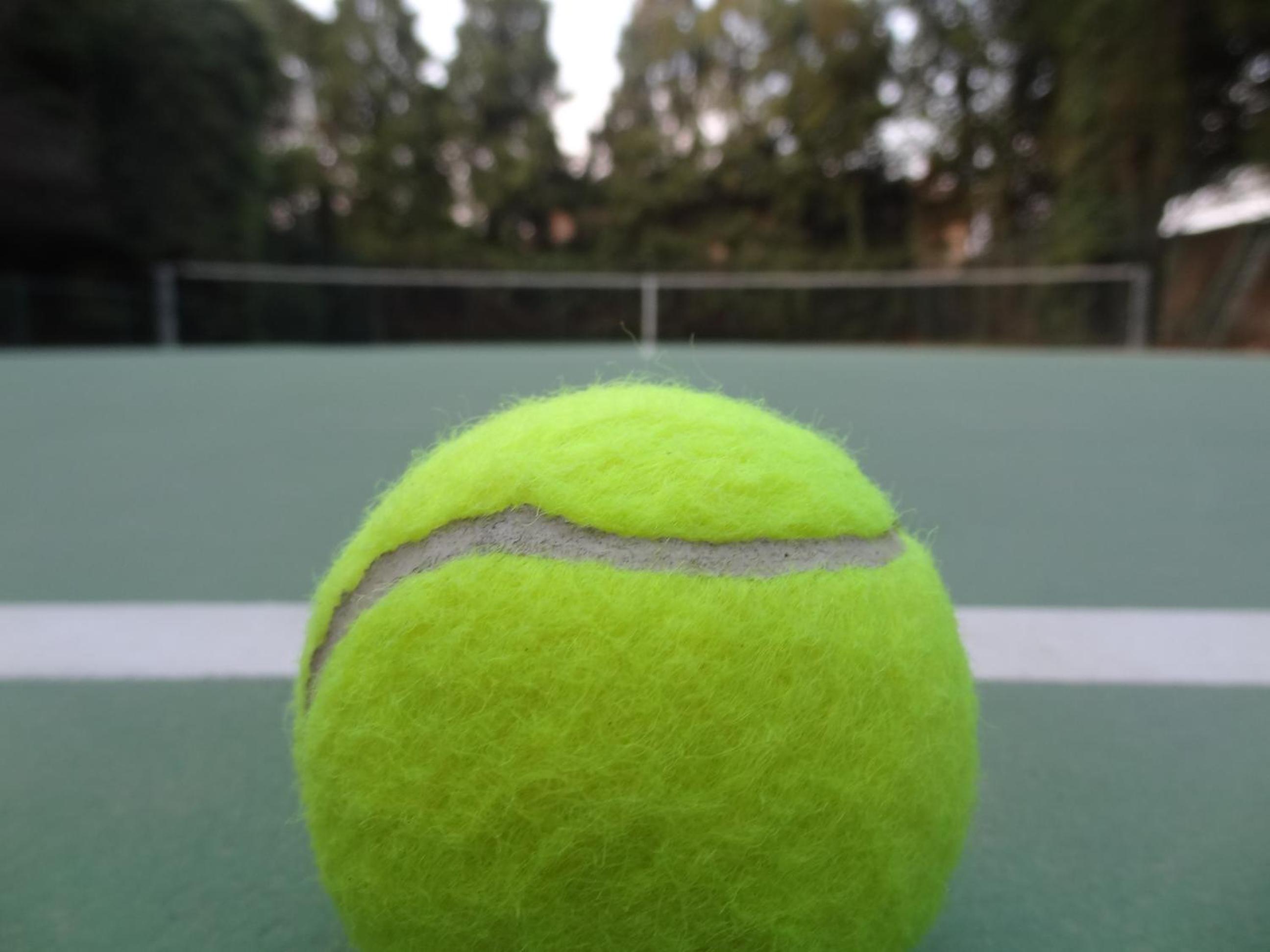 Photo 12