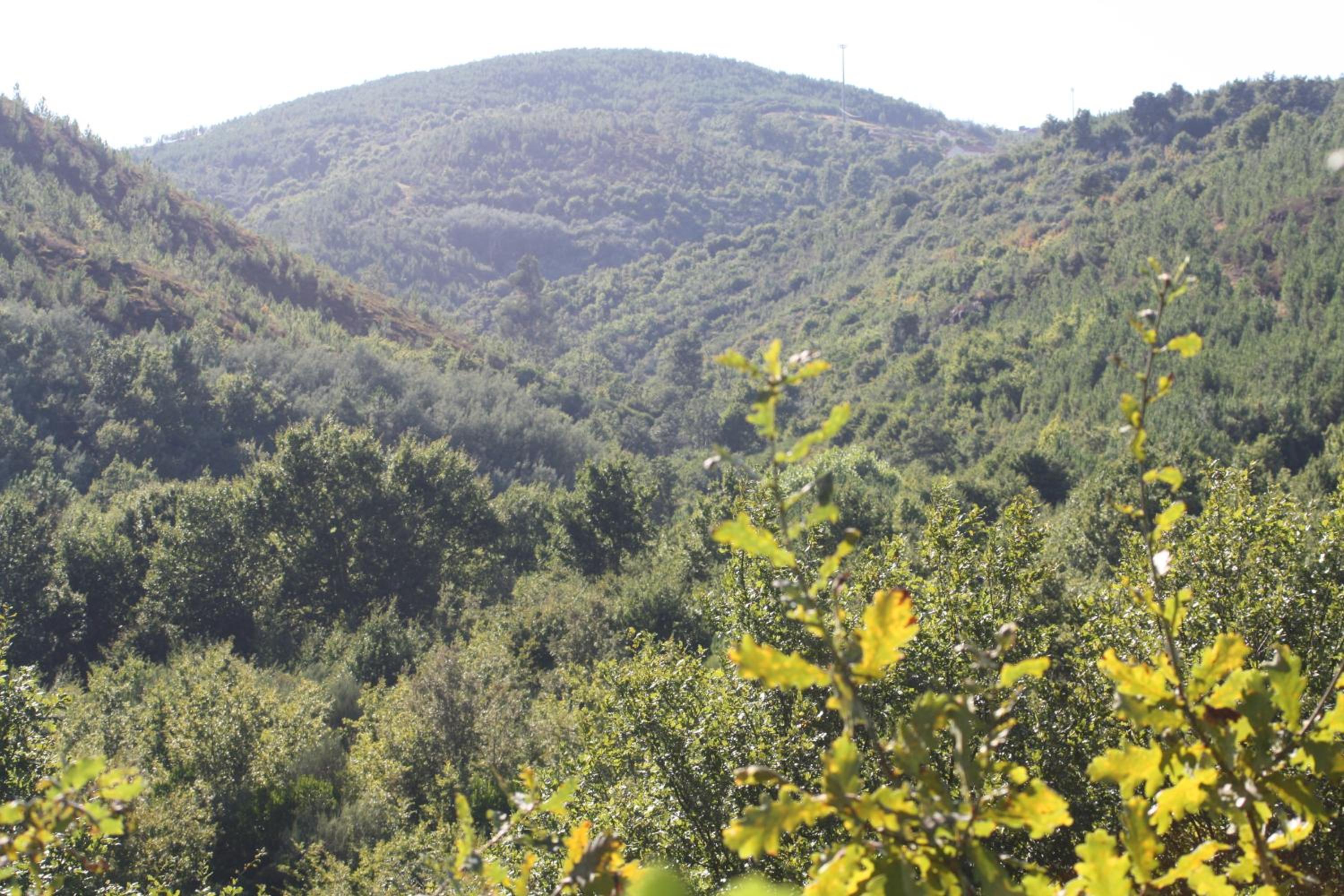 Retiro Da Arminda view 3