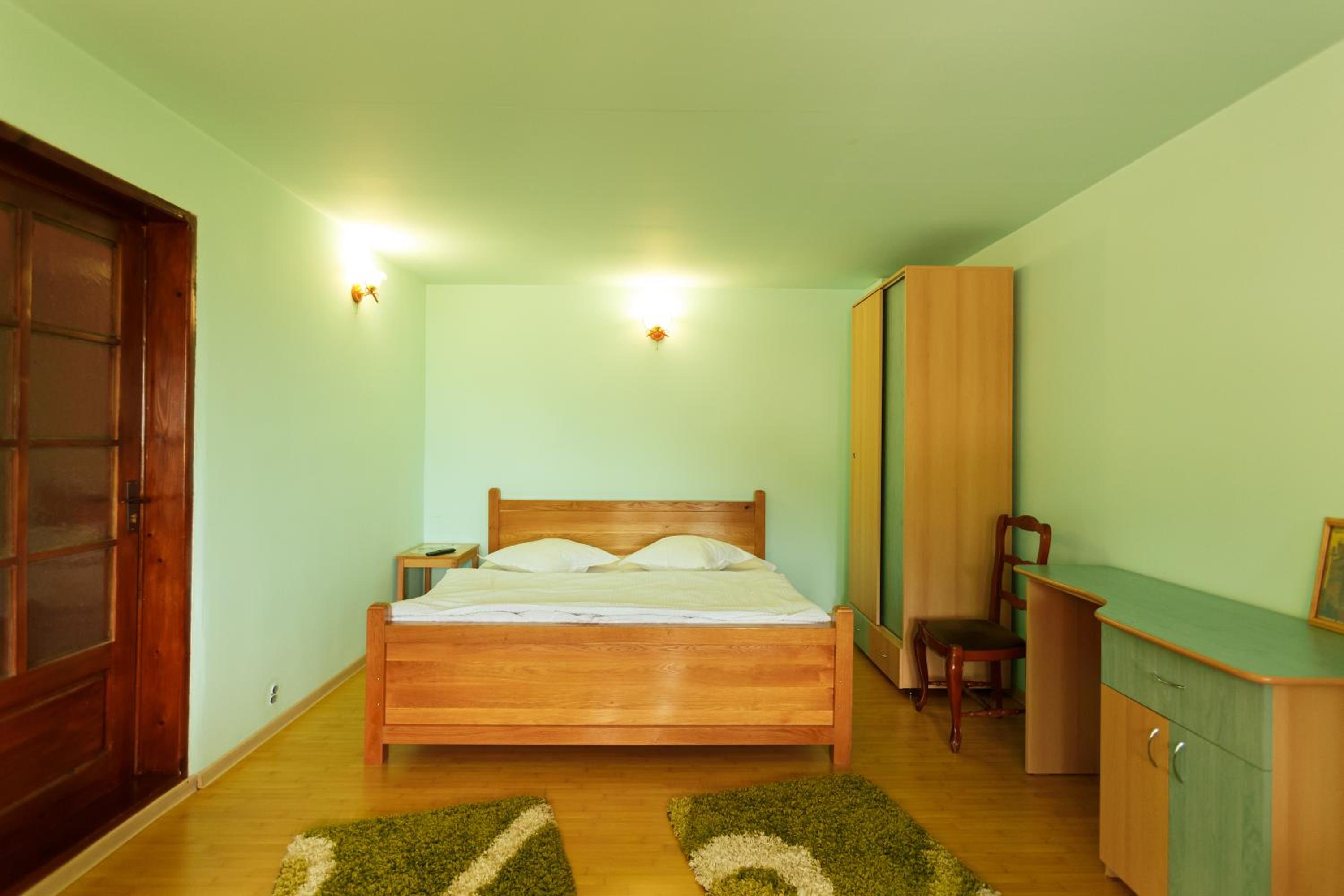 Casa dintre munti Karina view 4