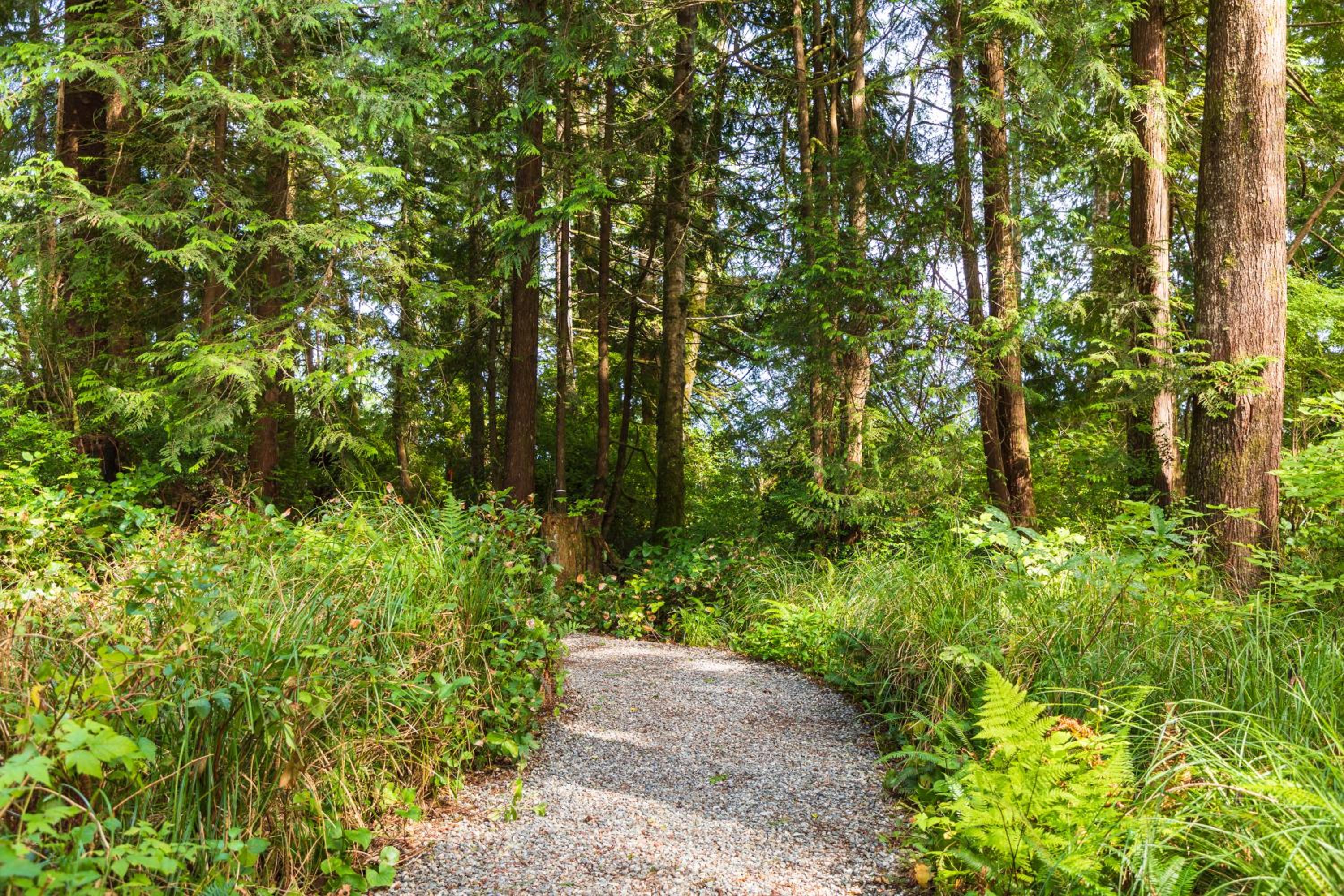 Tofino Vacations - Hotel Zed Tofino - Property Image 5