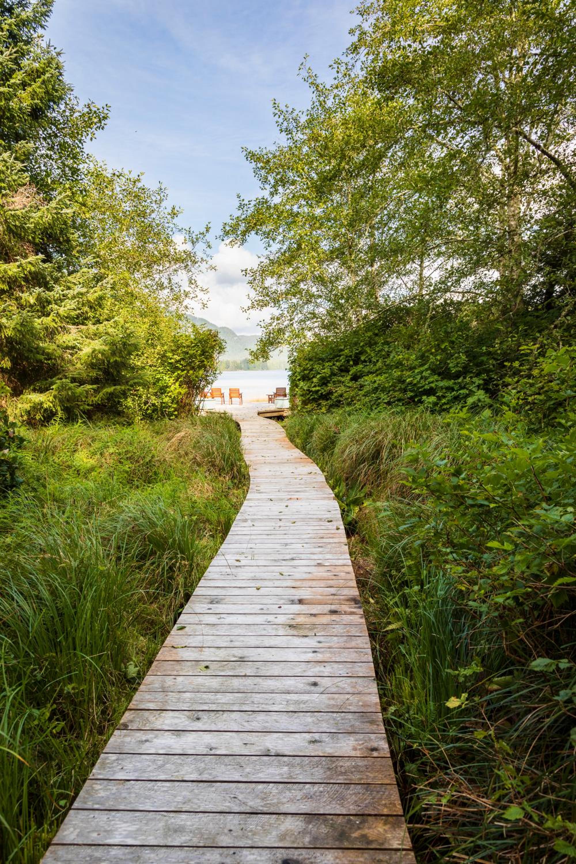 Tofino Vacations - Hotel Zed Tofino - Property Image 4