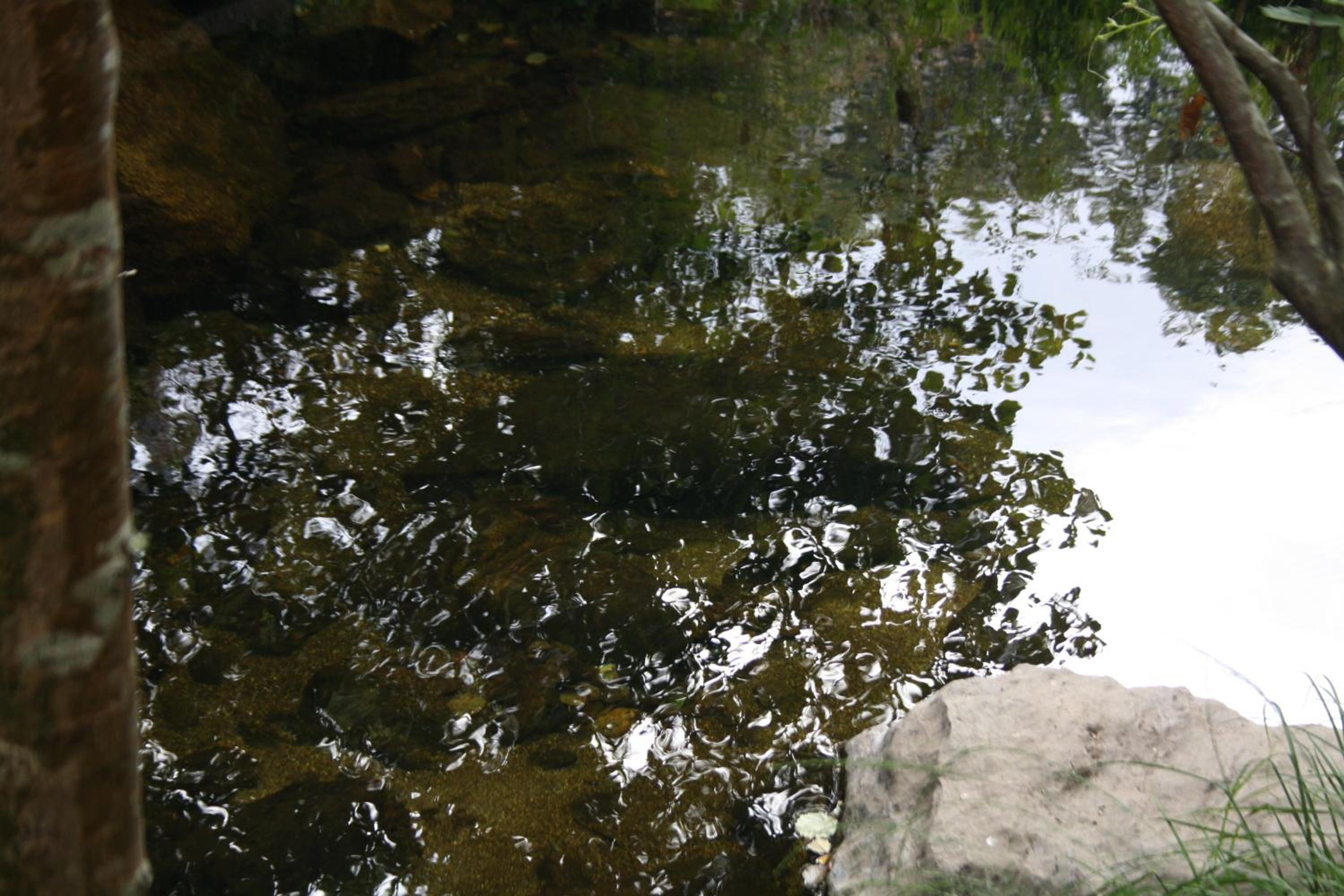 Photo 35