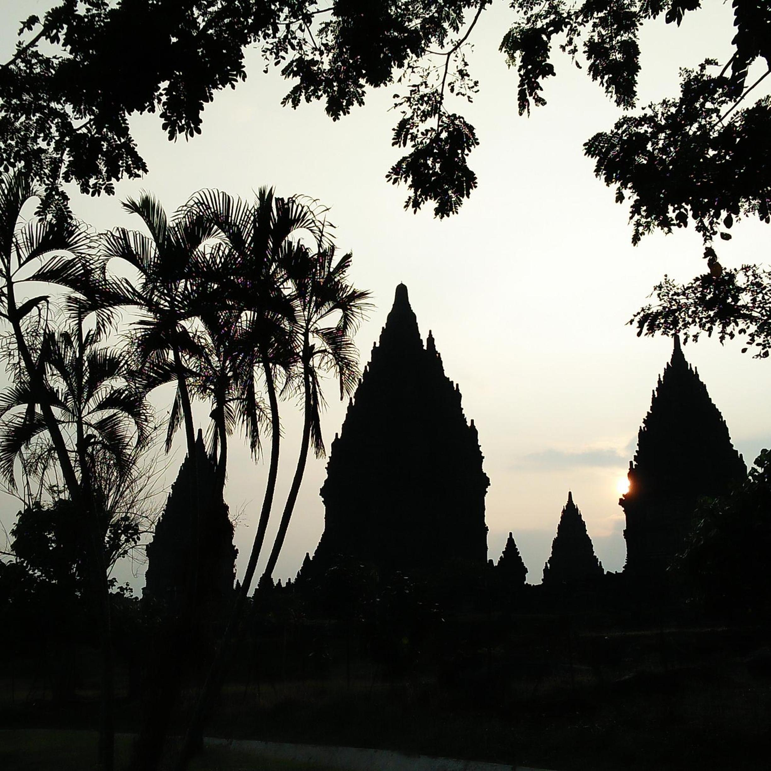Photo 100