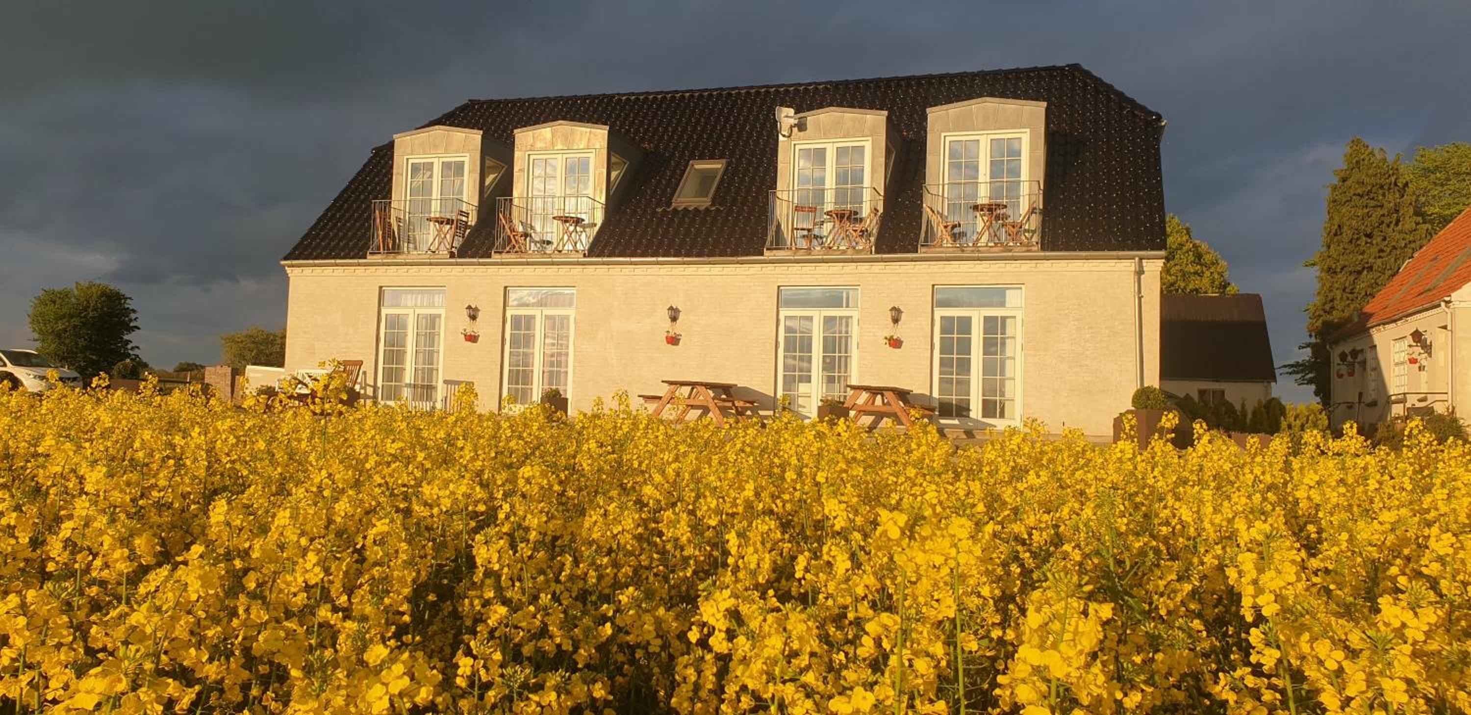 Roskilde B&B