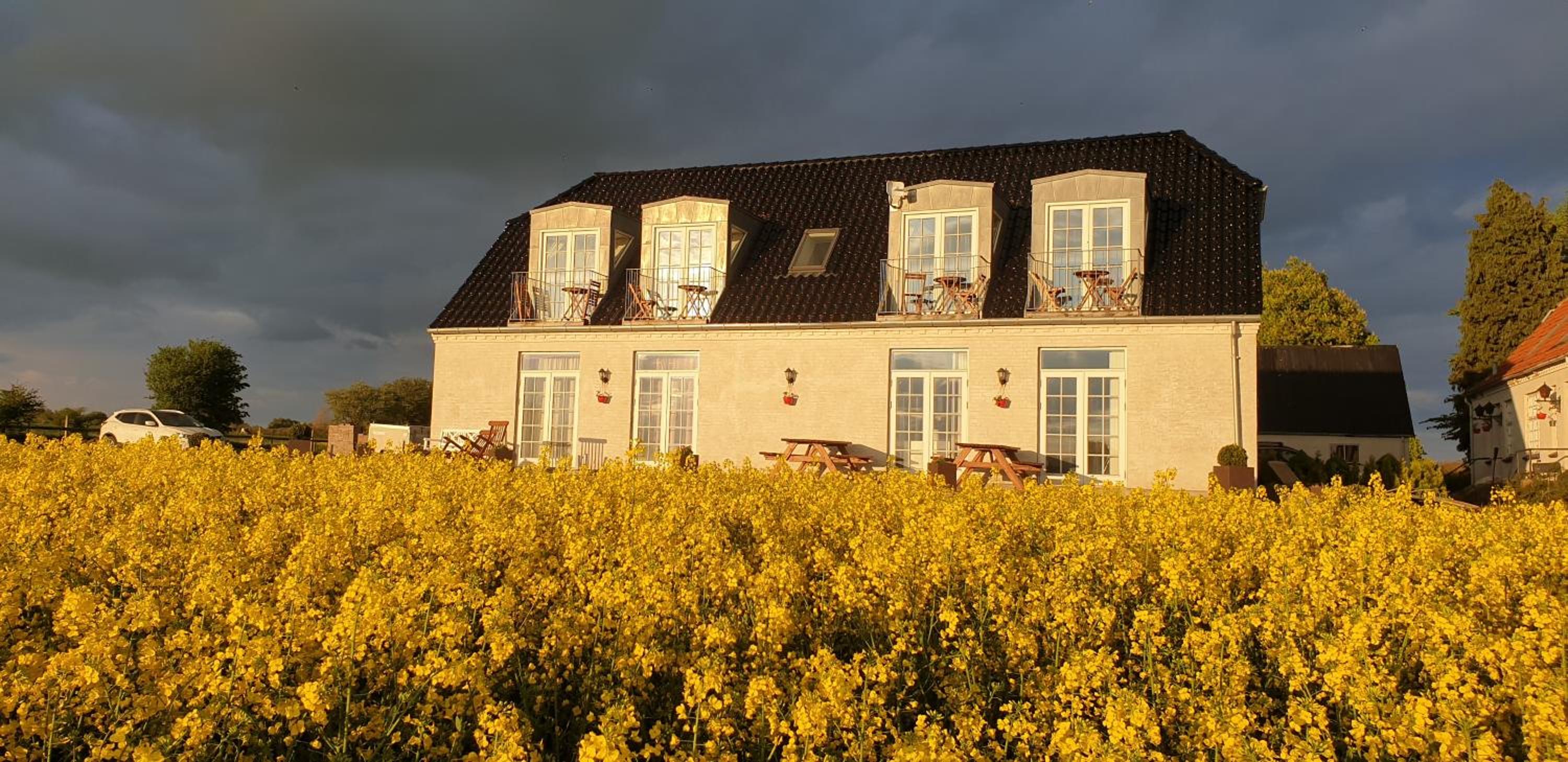 Roskilde B&B