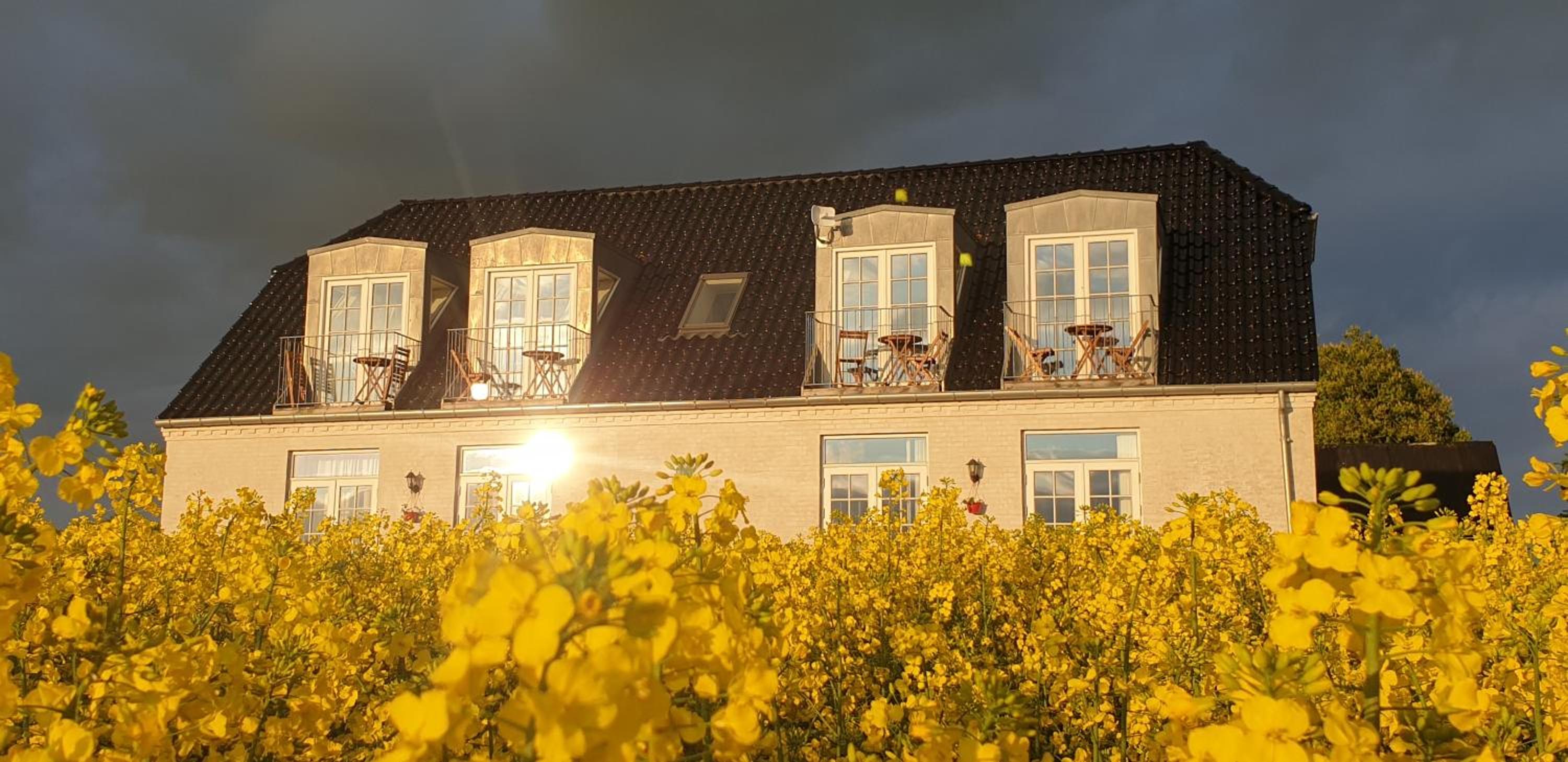 Roskilde B&B