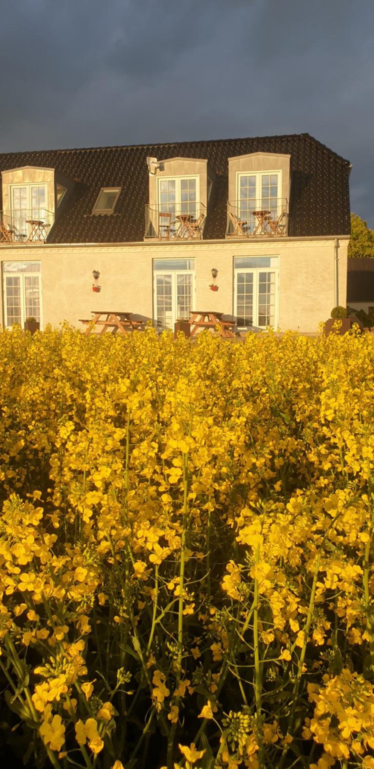 Roskilde B&B
