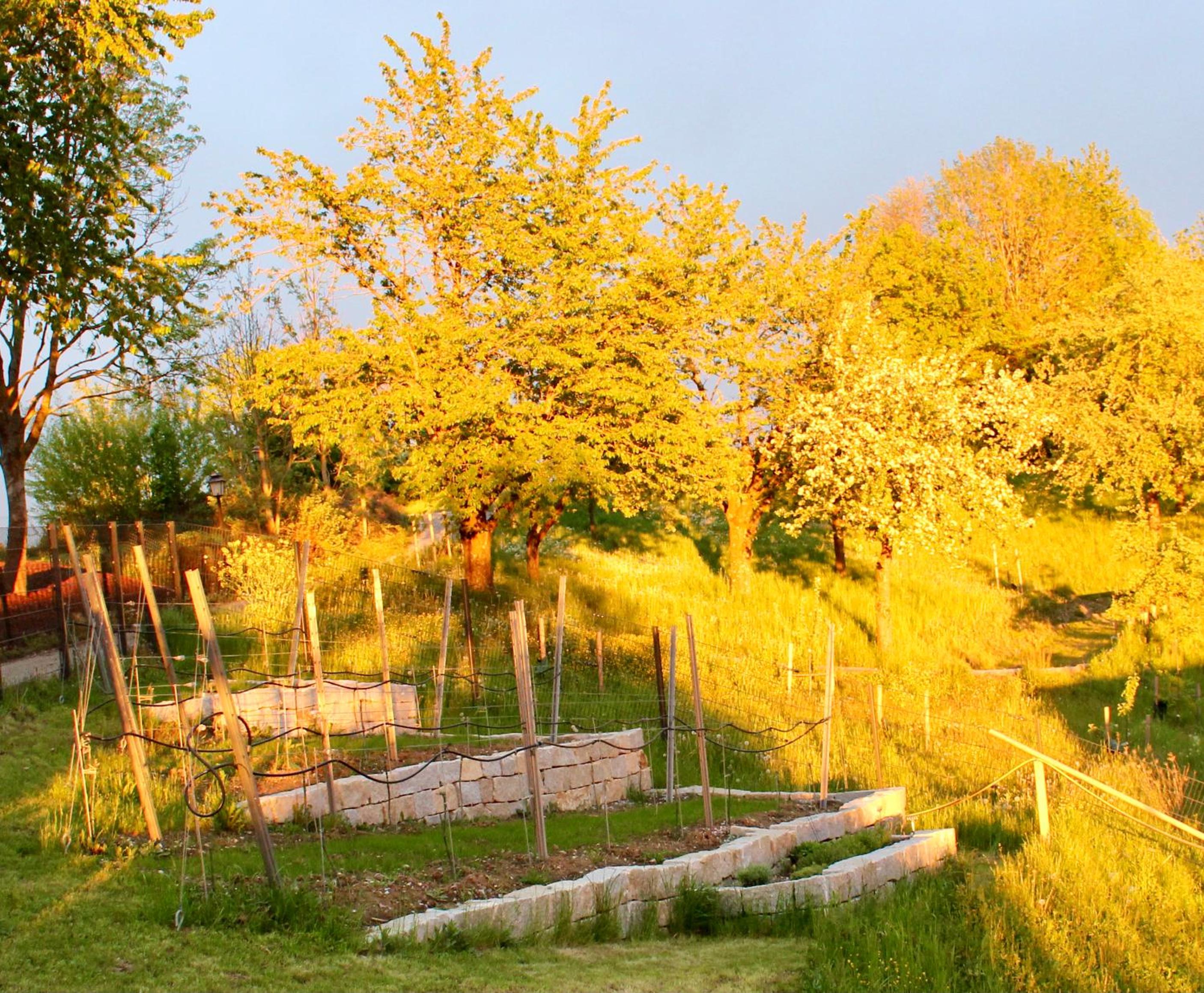 Photo 20