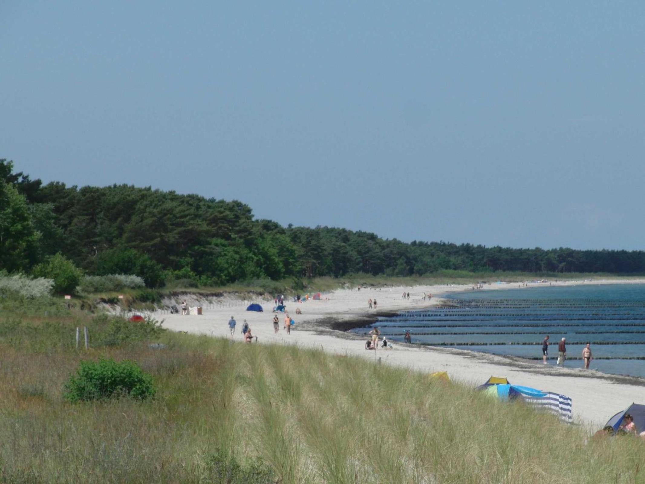 Appartment Haus Glowe - Wohnung 11 - 300 m zum Strand