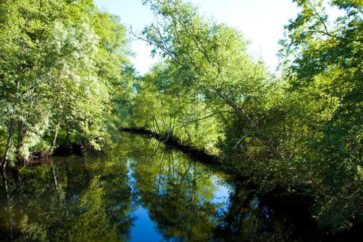 Photo 47