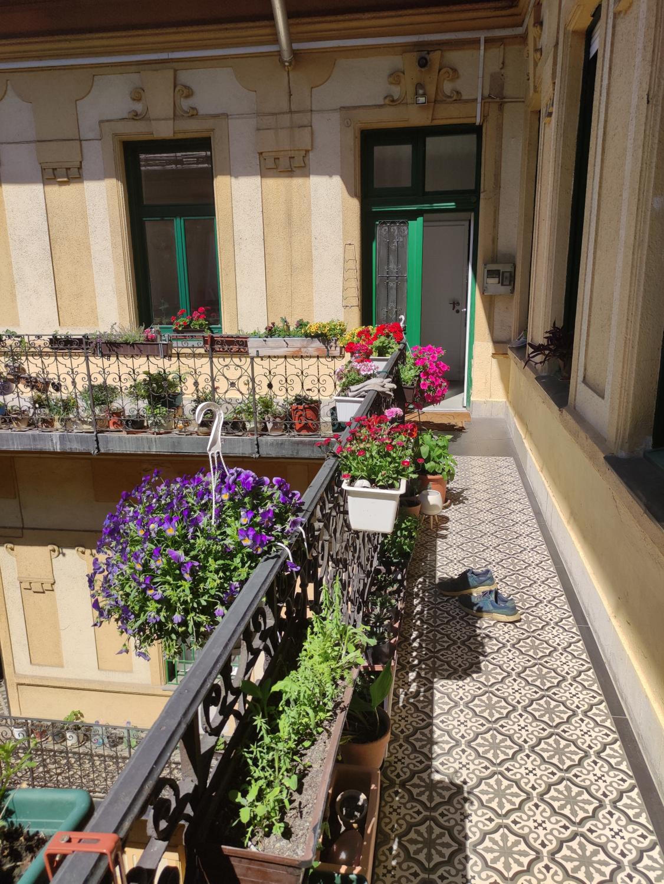 Congress Margit house view 5