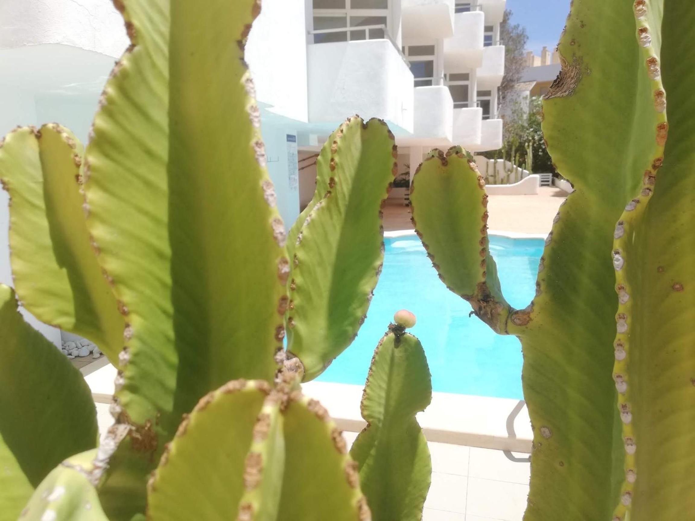 Apartamentos Ibiza