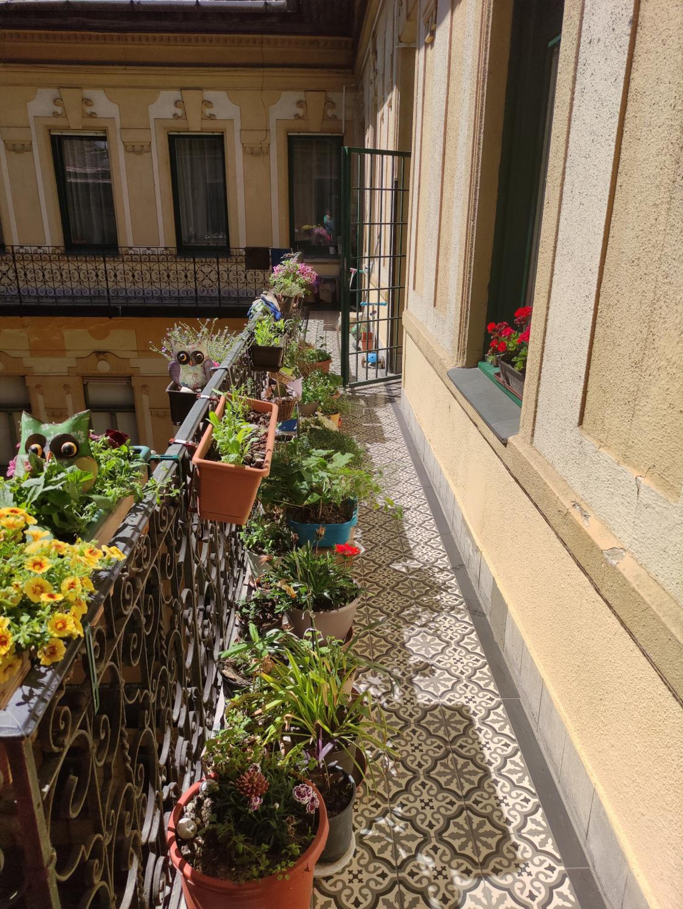 Congress Margit house view 4