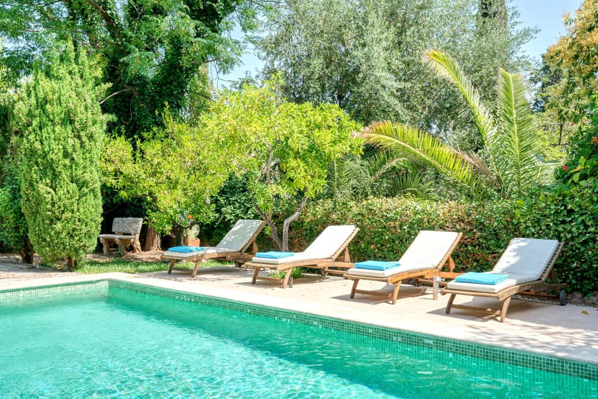 Villa La Rosa photo 3
