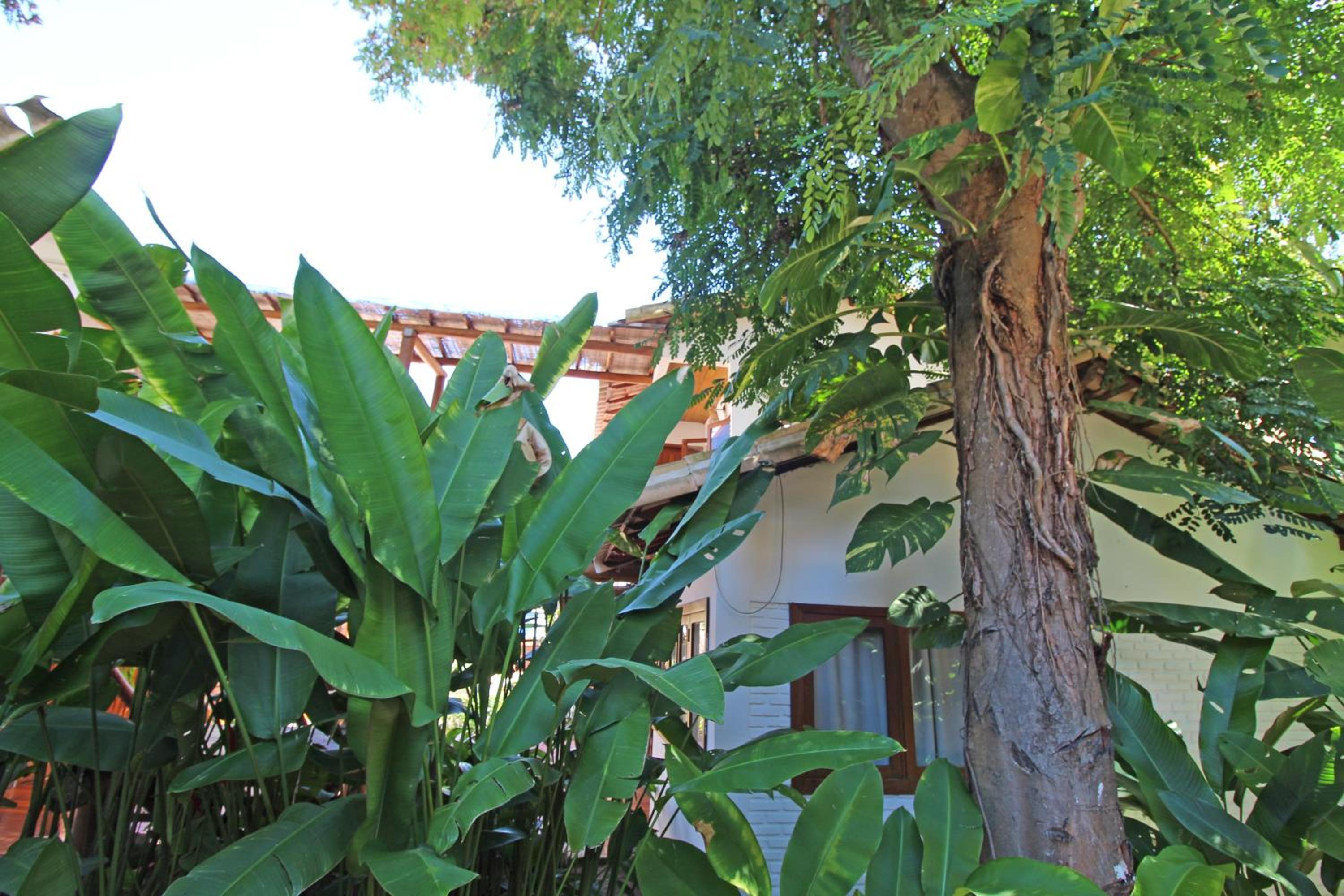 Pousada Cheiro Verde, photo 65