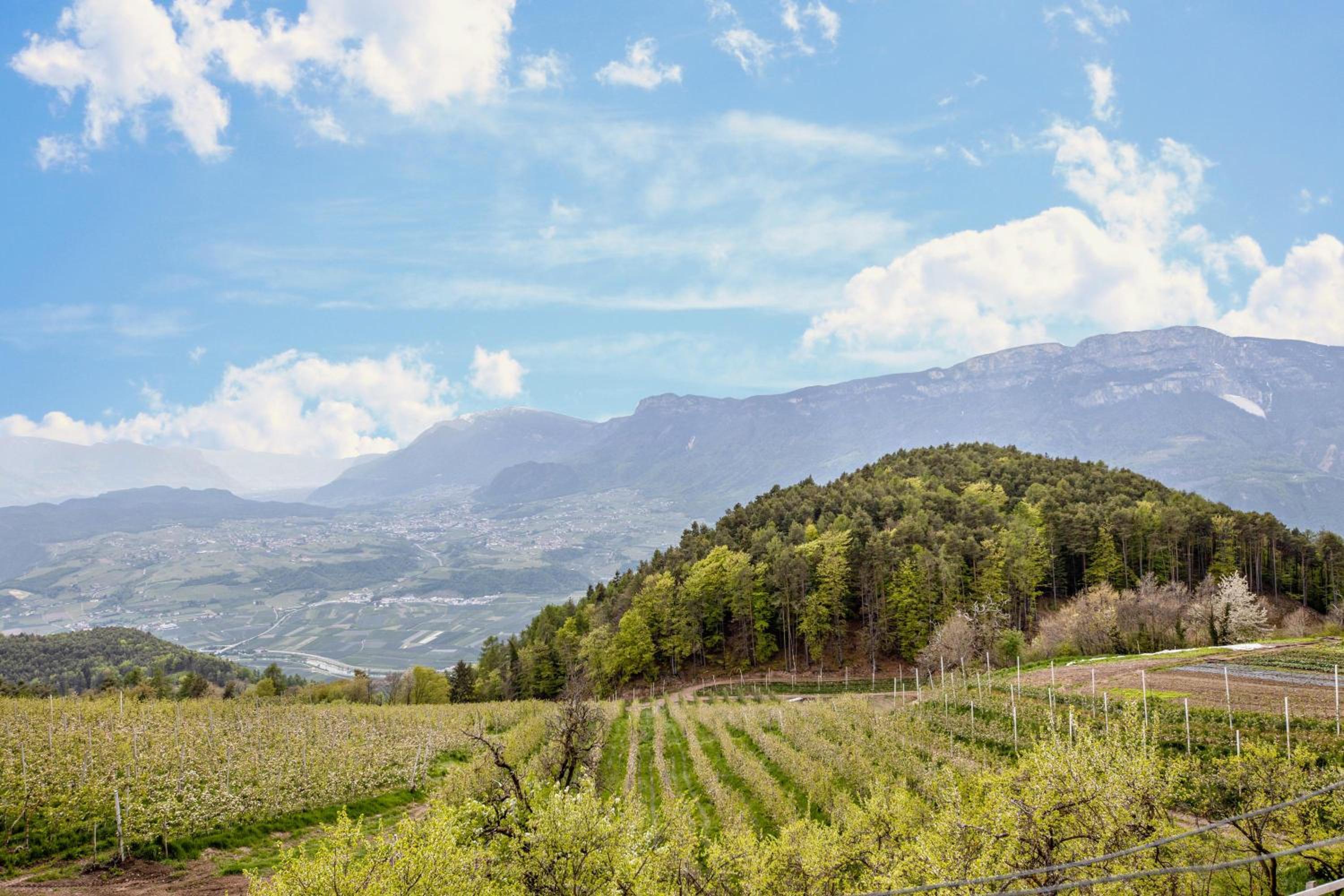 Malgorerhof Mathilde view 3