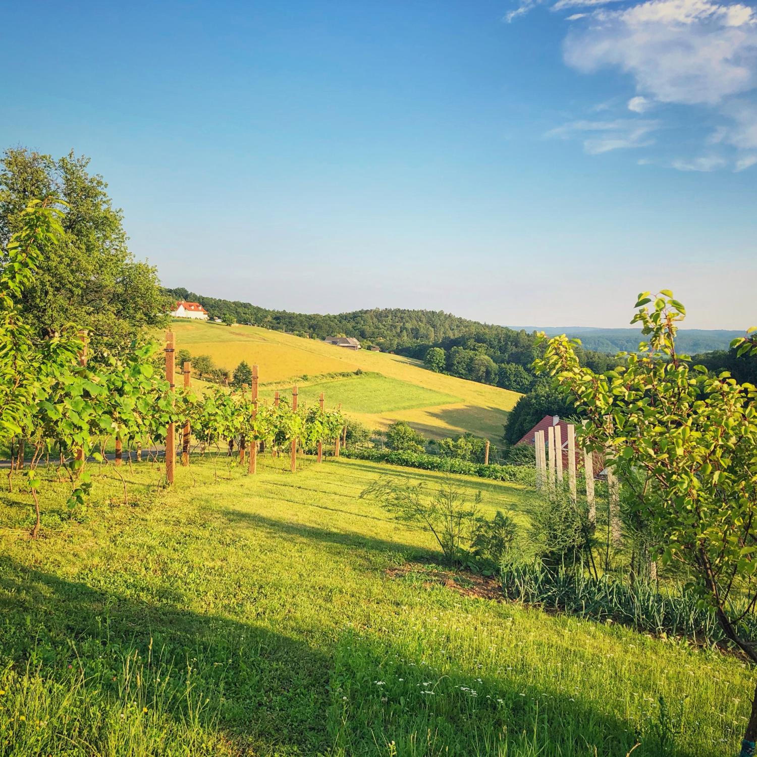 Landhaus Schaller im Südburgenland